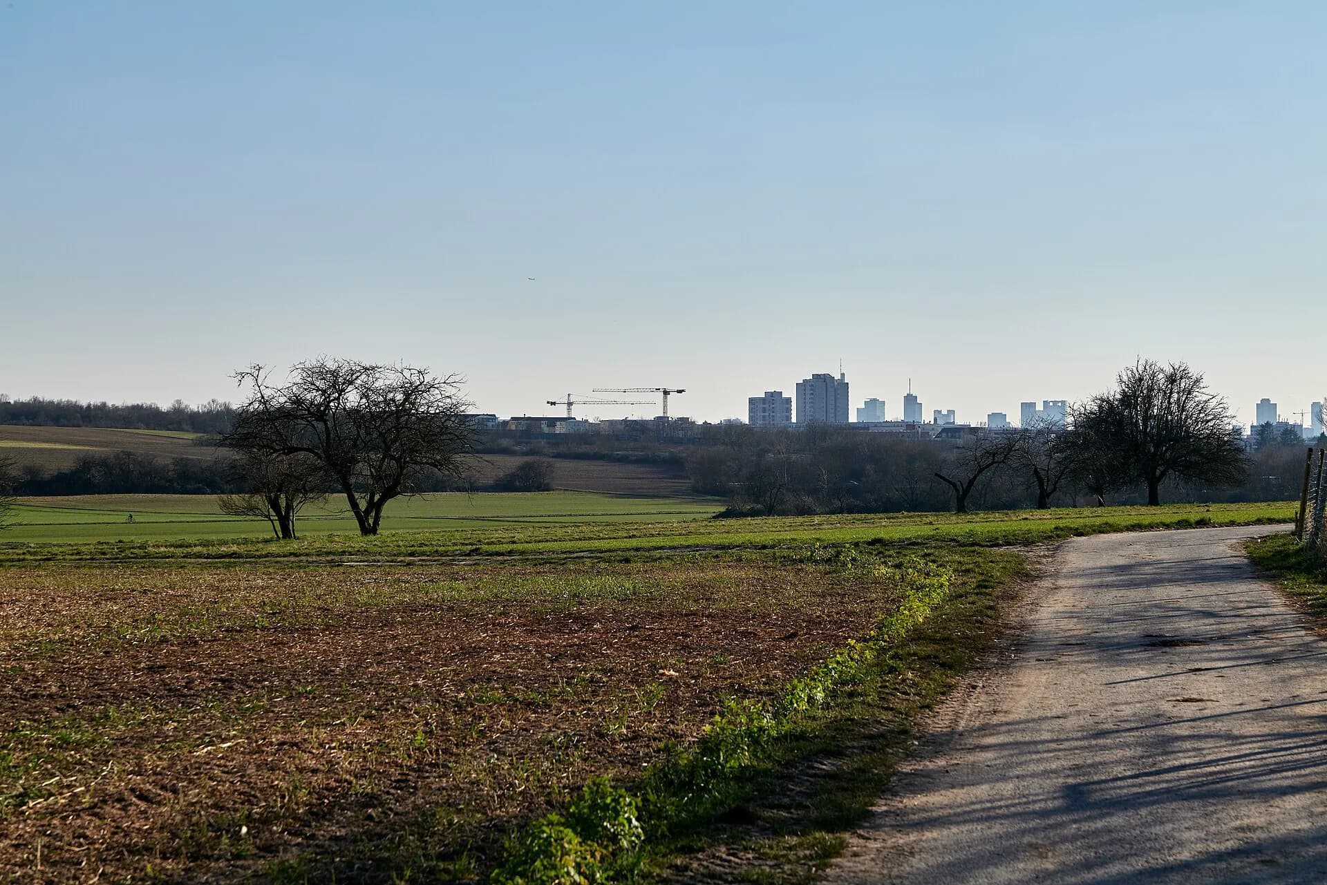 Feldweg mit Blick auf die Frankfurter Skyline in Frankfurt Berkersheim
