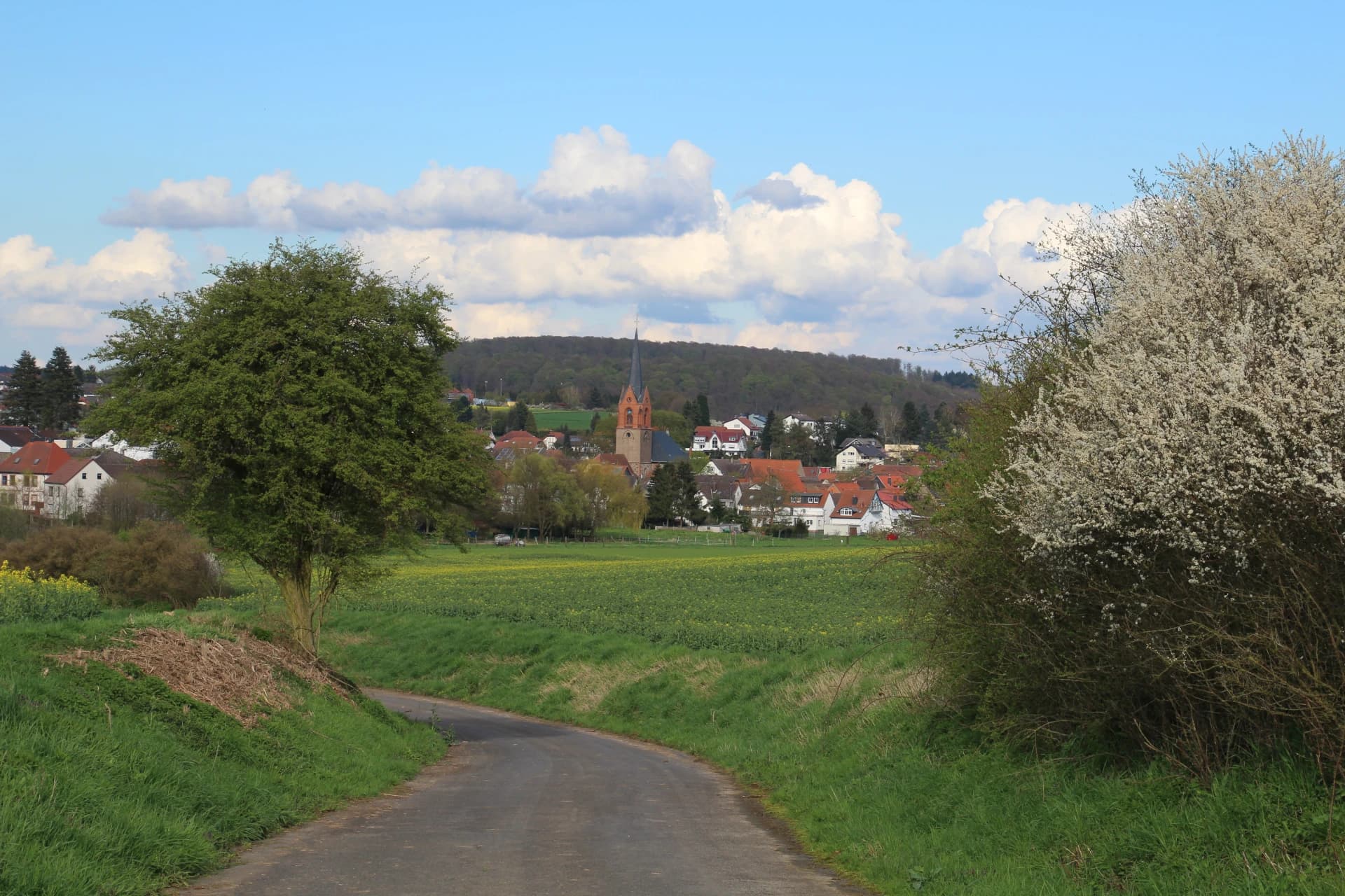 Feldweg nach Marköbel in Hammersbach