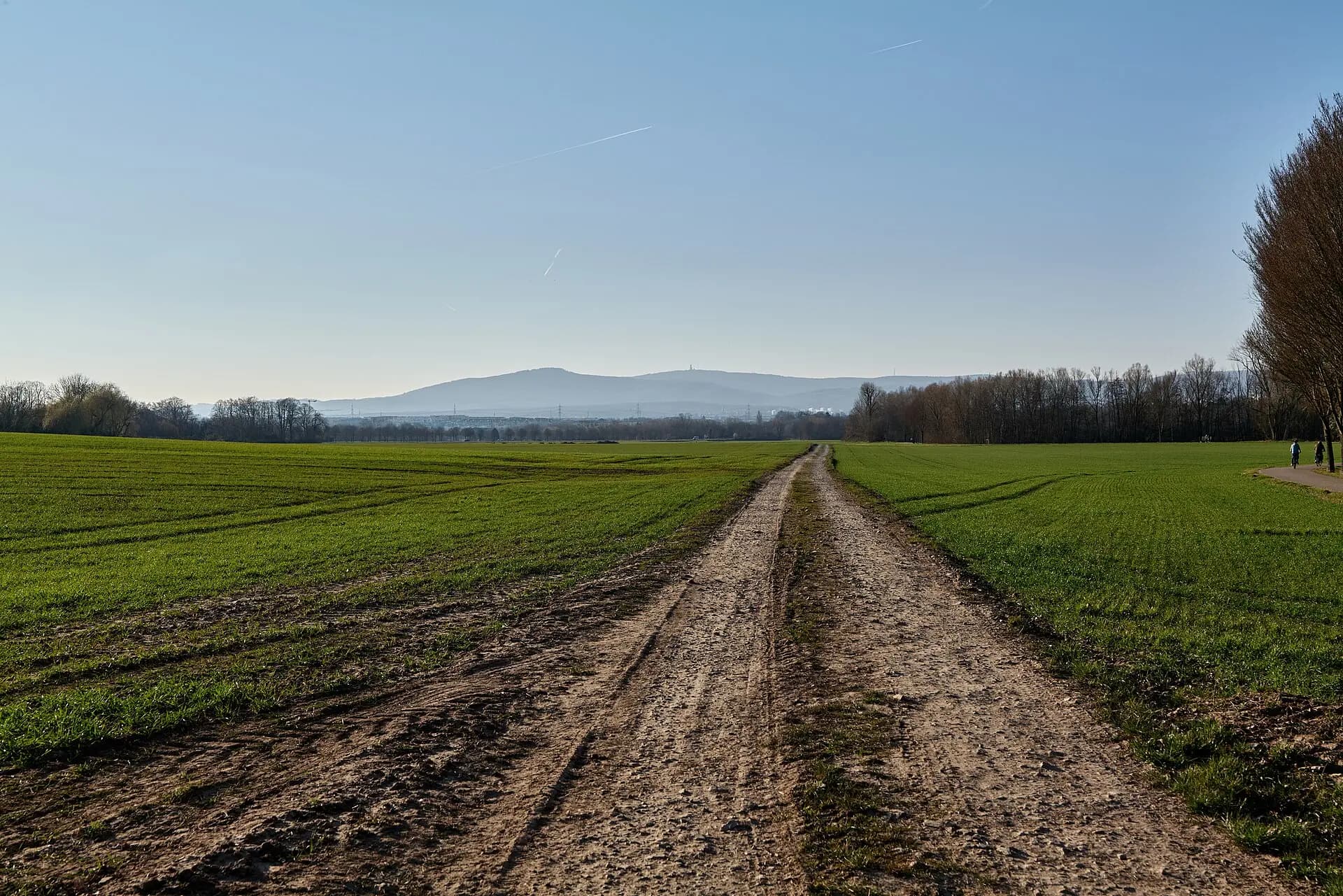 Feldweg mit Blick zum Taunus am Frankfurter Berg