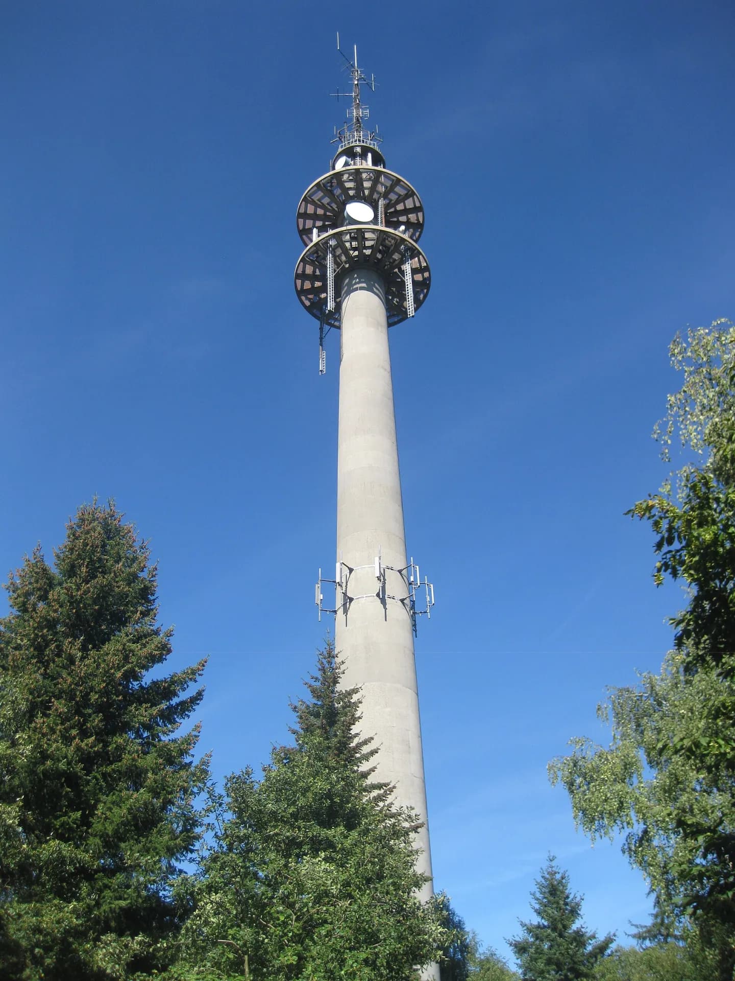 Fernsehturm Mainzer Berg über den Bäumen bei Dieburg