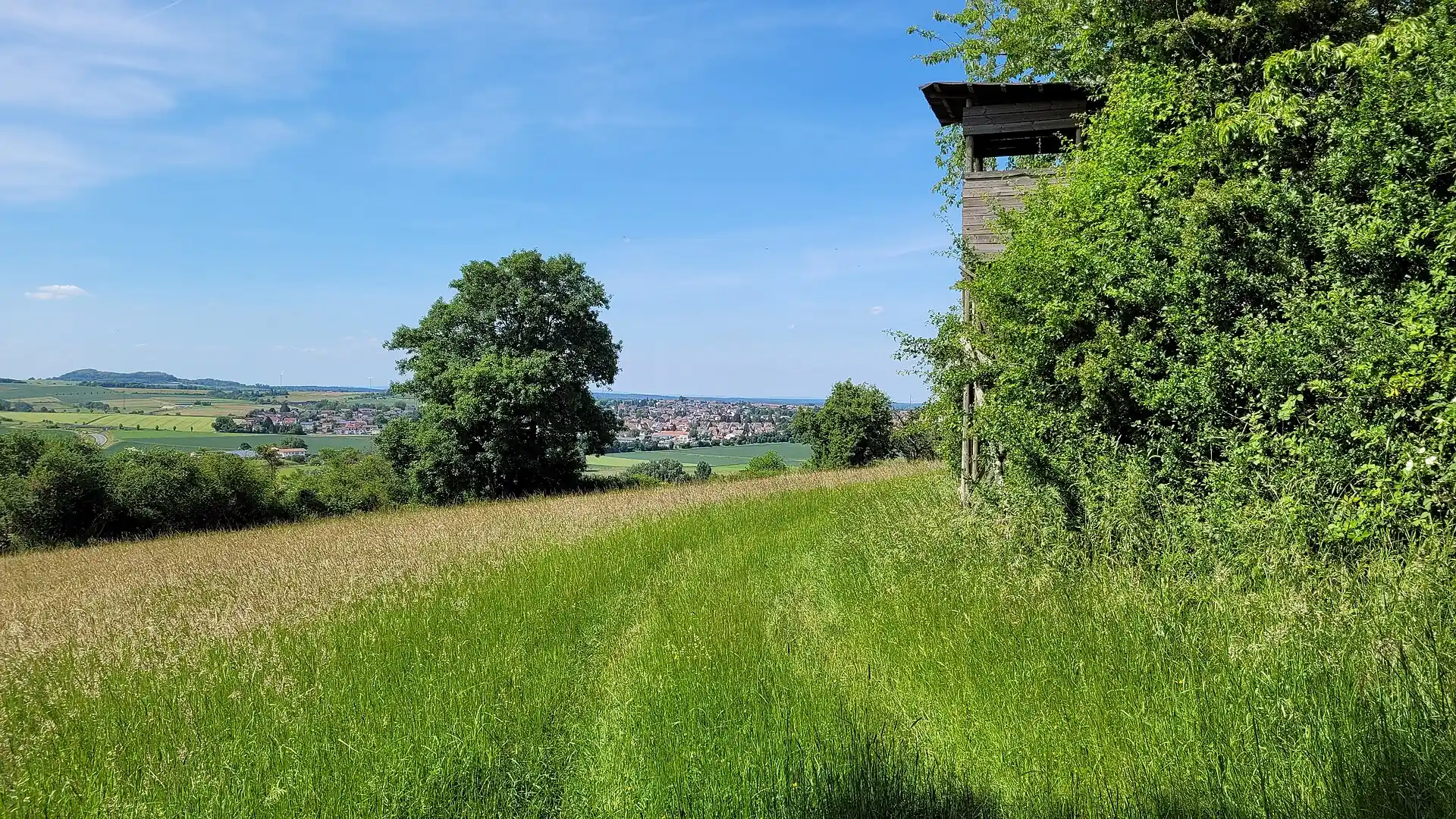 Naturschutzgebiet Forstberg von Reinheim-Überau