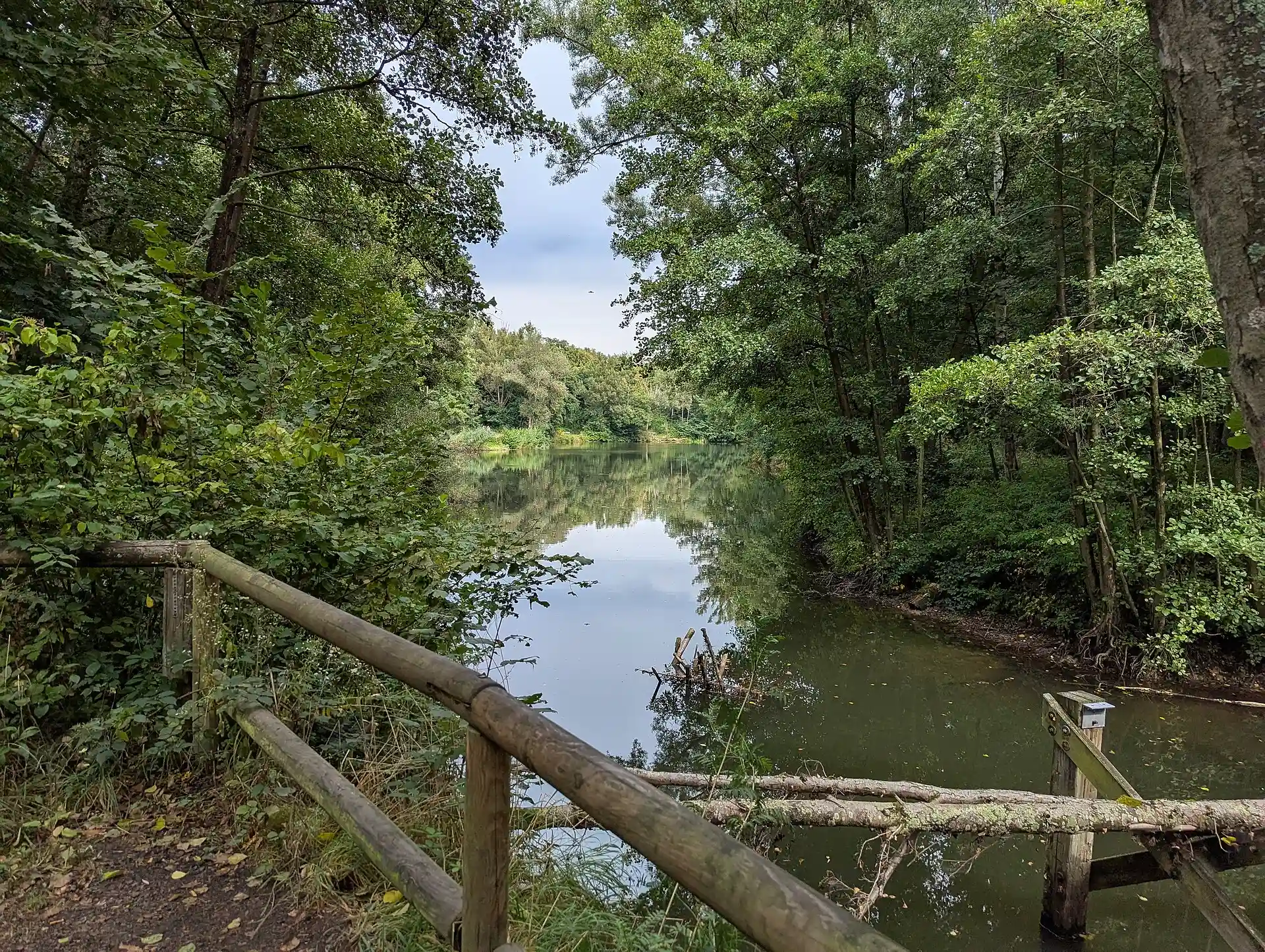 Forsteckweiher im Wald bei Dieburg