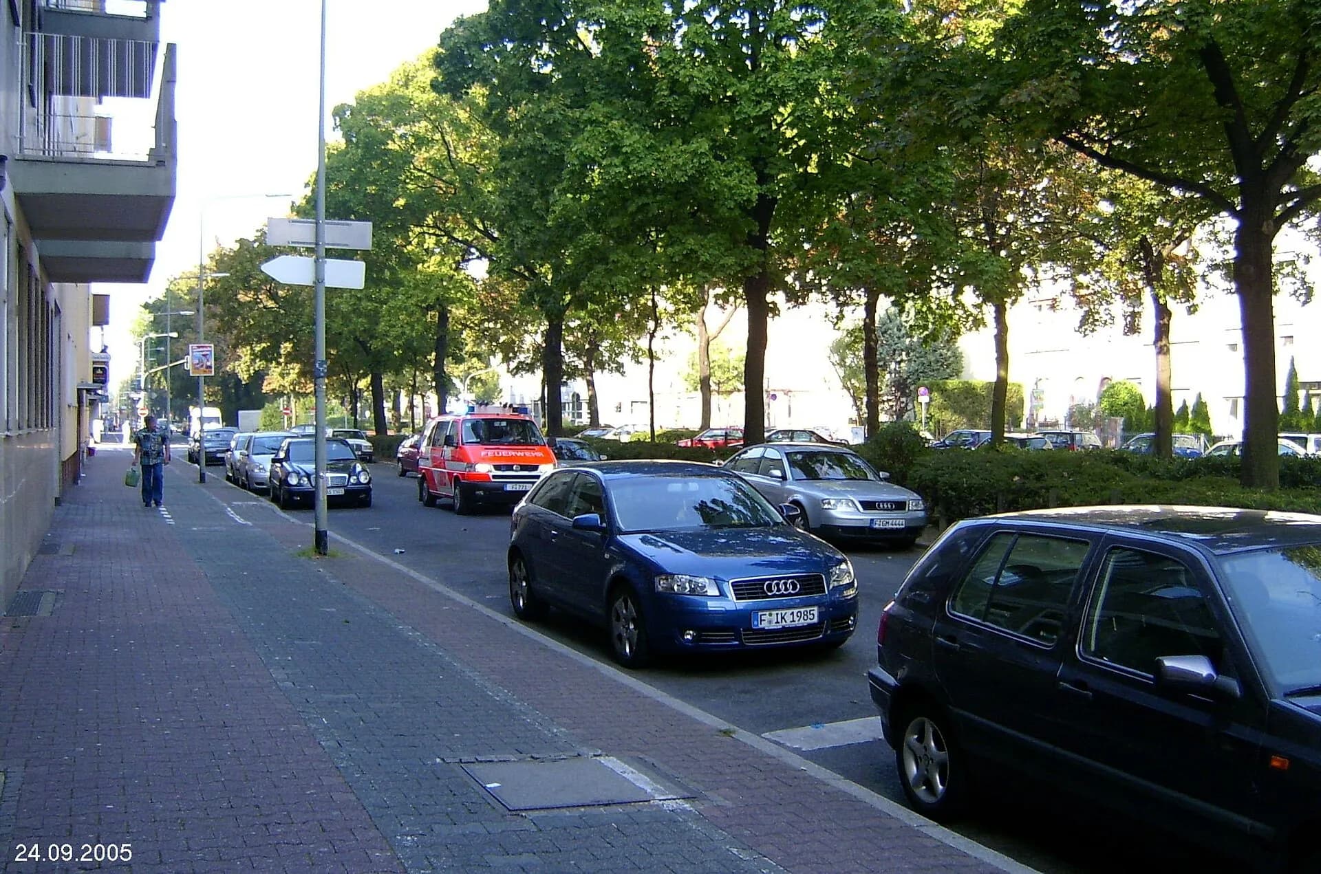 Baumreihe an der Frankenallee im Frankfurter Gallus