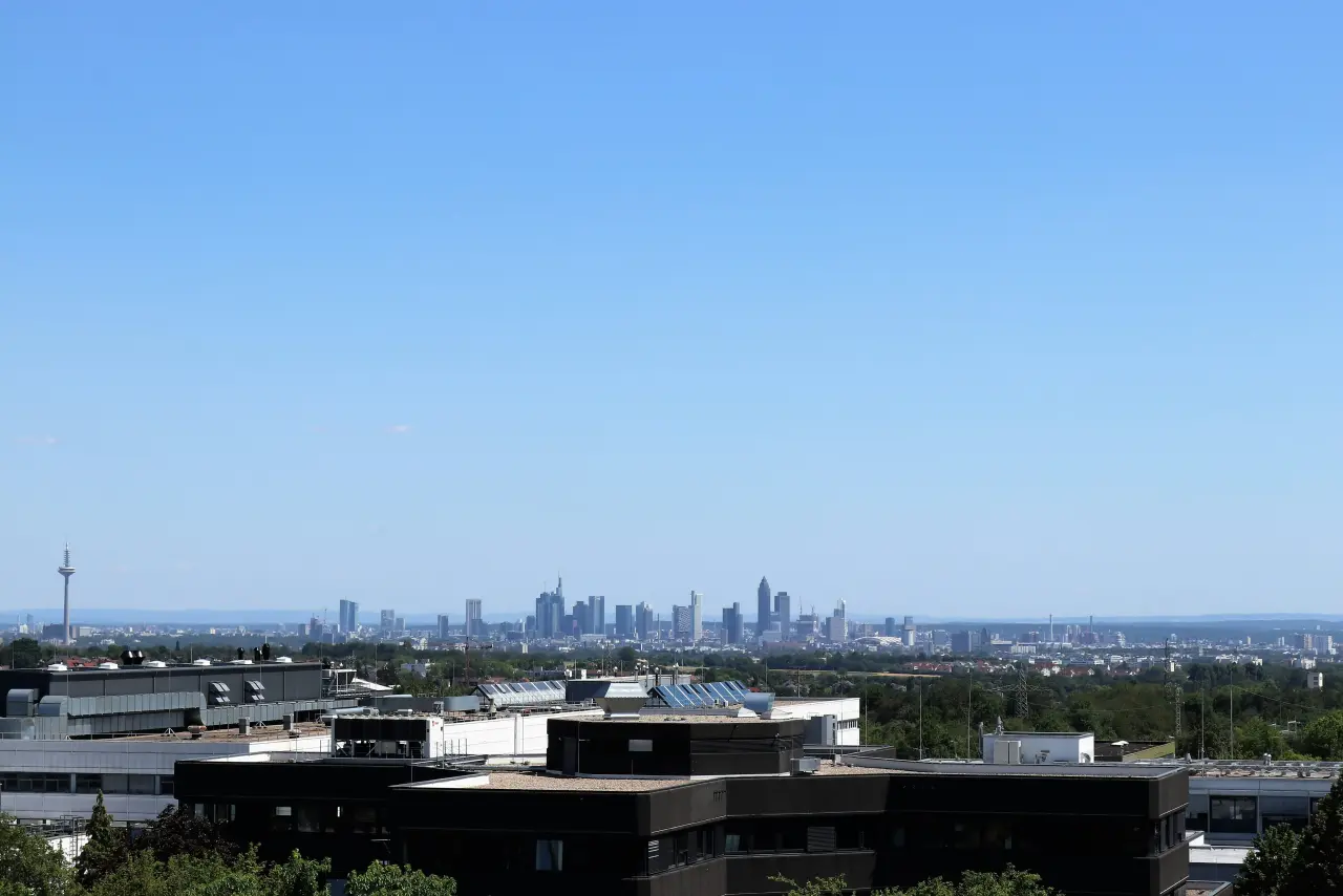 Panorama über flache Dächer auf die Frankfurter Skyline bei klarem Himmel