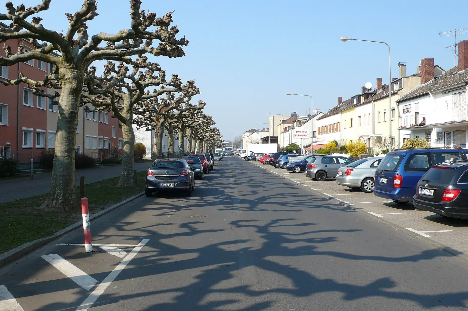 Platanenallee in der Friedrich-Ebert-Siedlung im Frankfurter Gallus