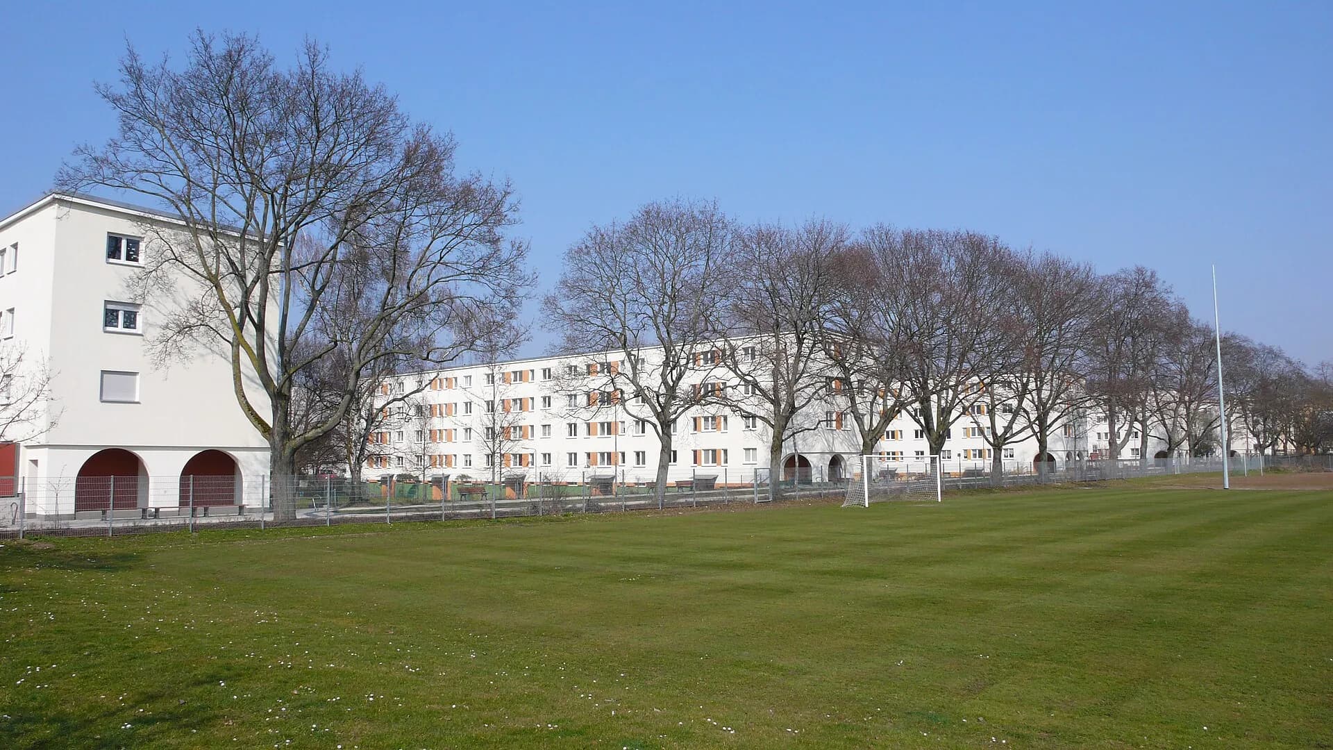 Wiese vor der Friedrich-Ebert-Siedlung im Frankfurter Gallus