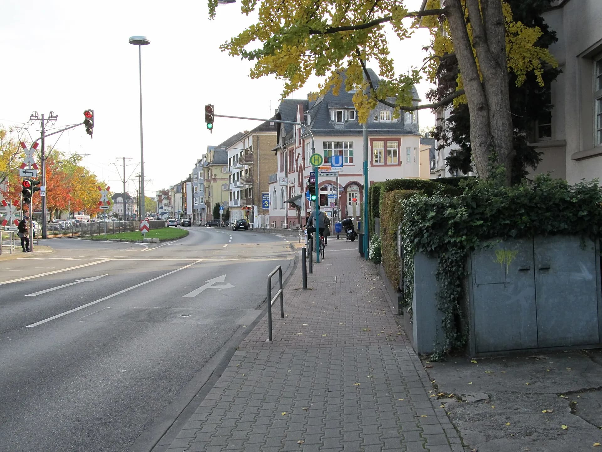 Fritz-Tarnow-Straße im Herbst in Frankfurt Dornbusch