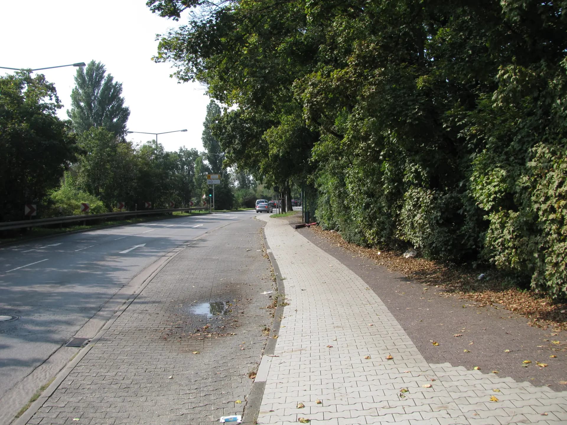 Allee an der Gerbermühlstraße in Frankfurt-Oberrad
