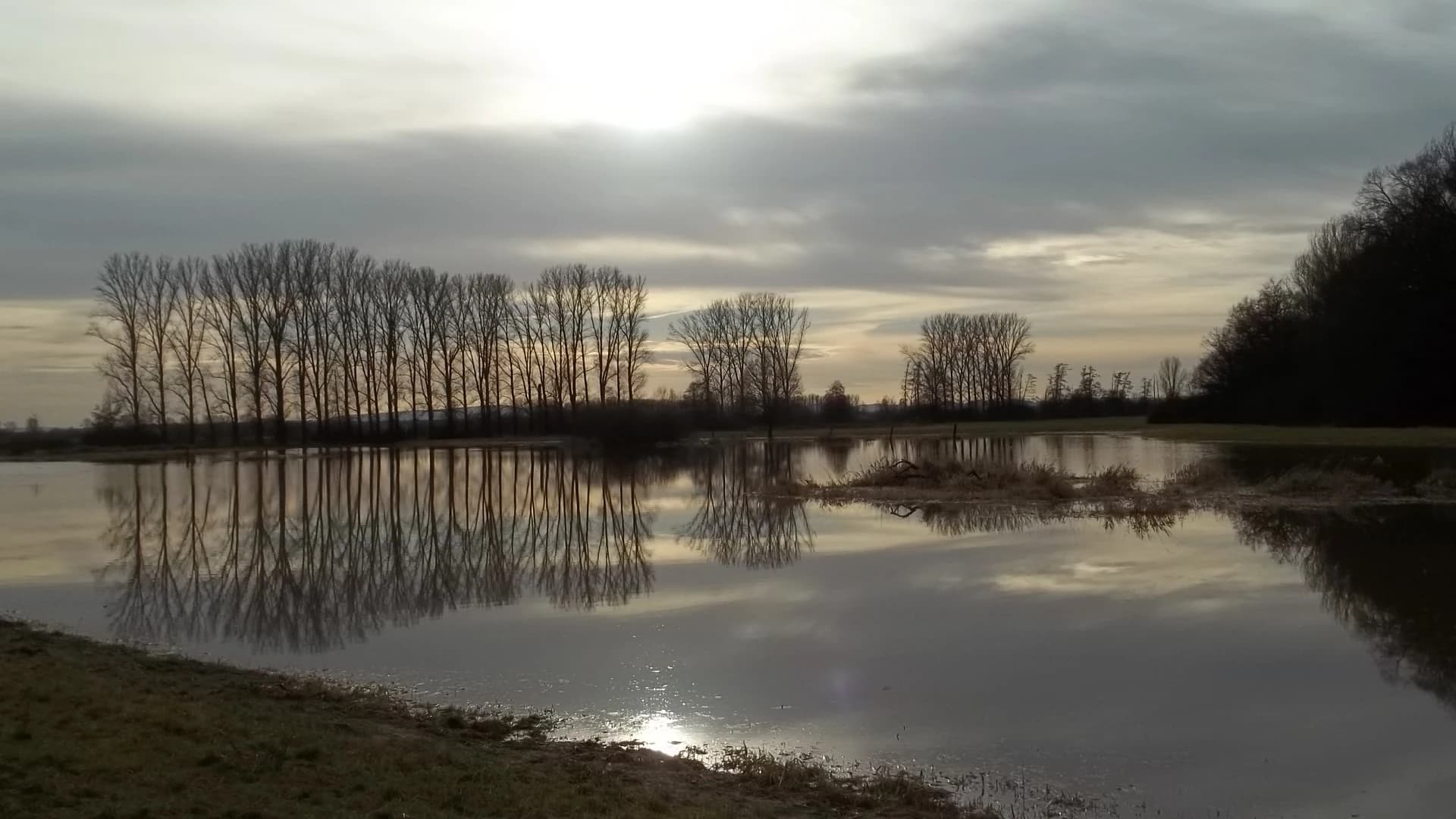 Spiegelung der Baumreihe in der Gersprenz bei Babenhausen