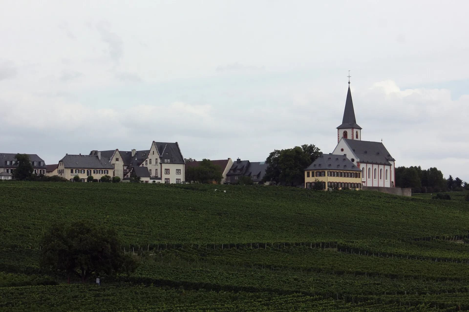 Gesamtanlage von Hochheim am Main über den Weinbergen