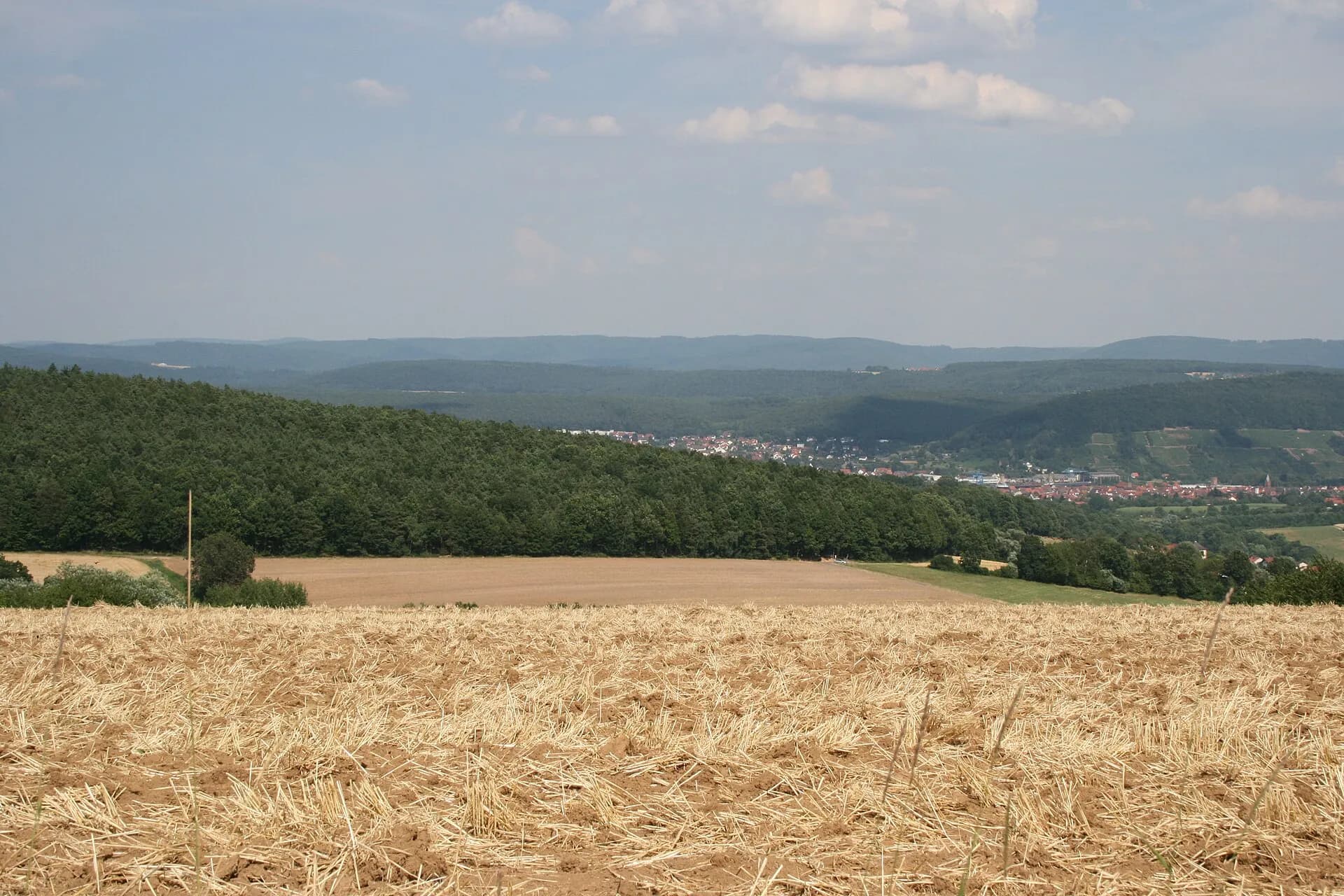 Getreidefeld mit Blick über den Odenwald in Lützelbach