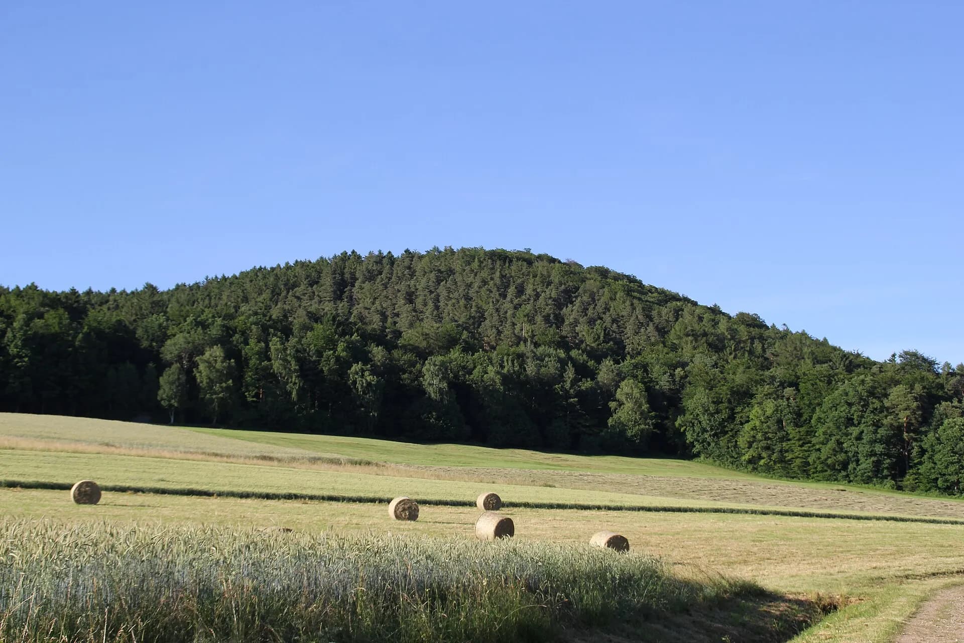 Strohballen auf dem abgeernteten Feld vor dem Glasberg bei Linsengericht-Großenhausen