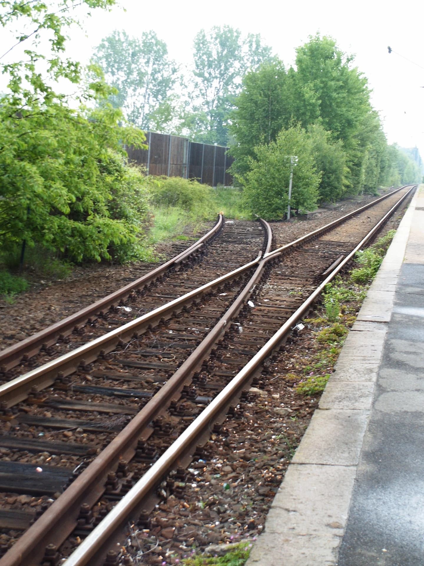 Gleisanlage am Bahnhof Maintal Ost