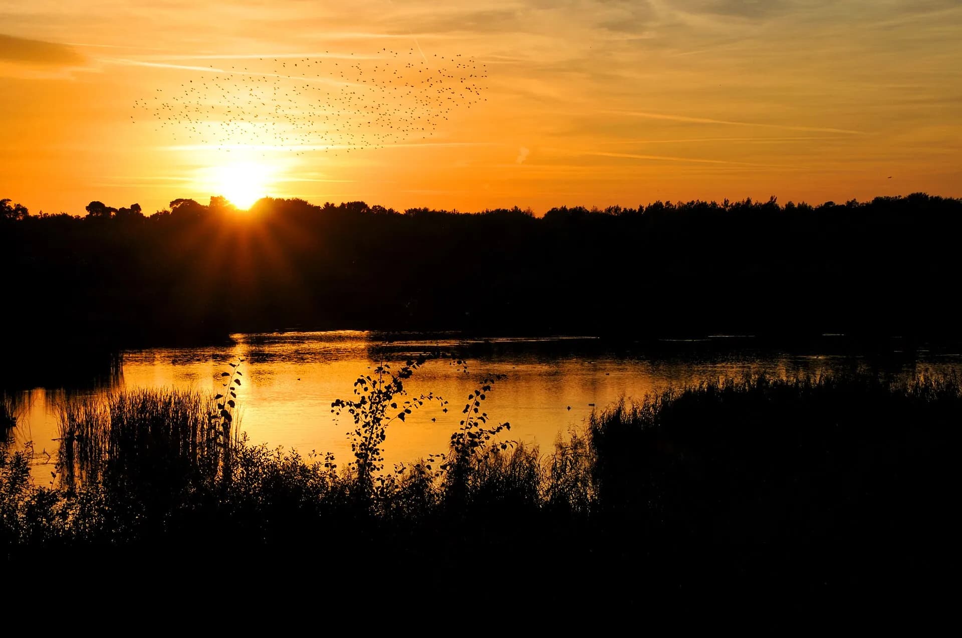 Sonnenuntergang am See am Goldberg in Heusenstamm