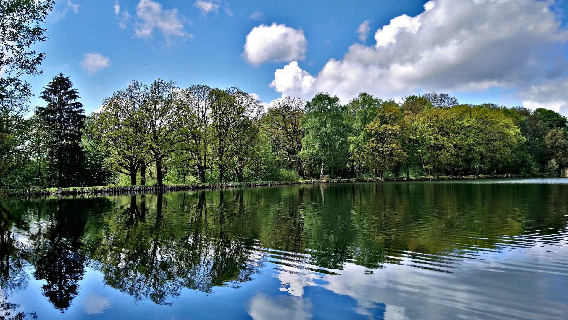 Großer Weiher bei Wächtersbach