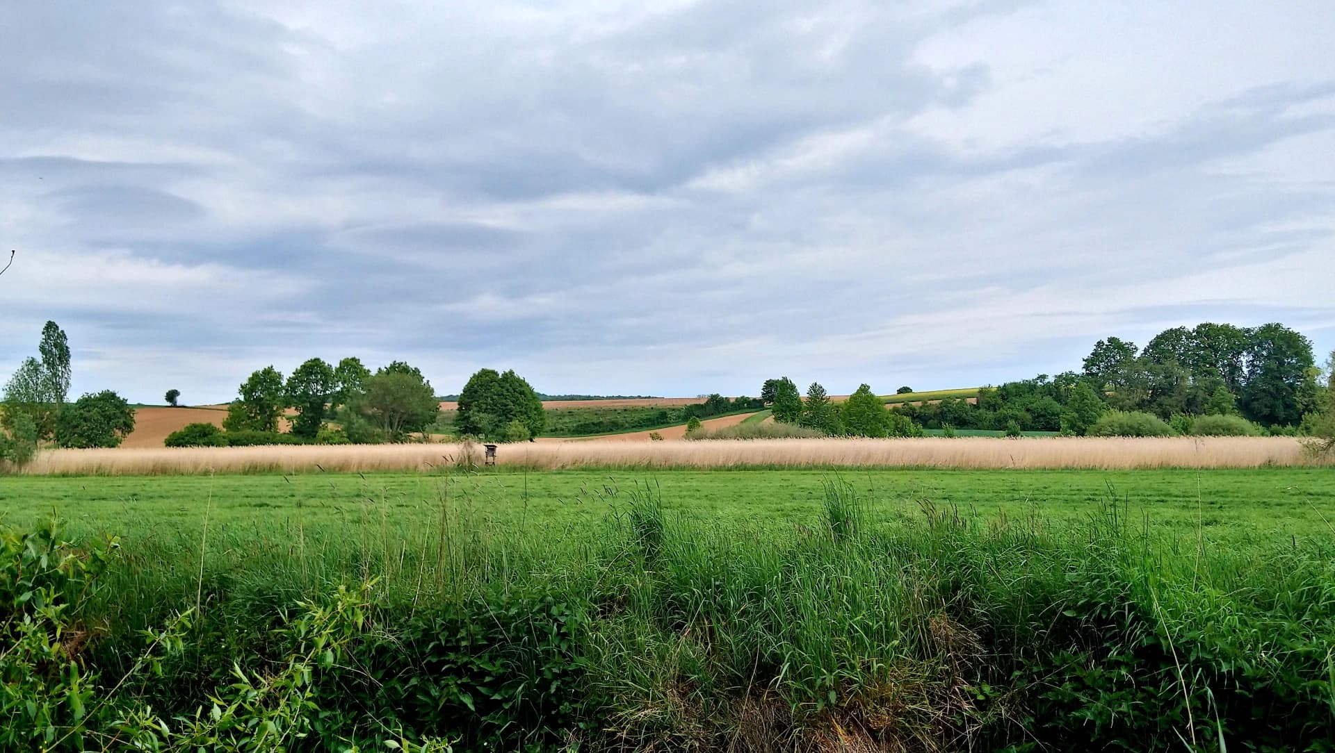Naturschutzgebiet Gründauaue bei Niedergründau in Gründau