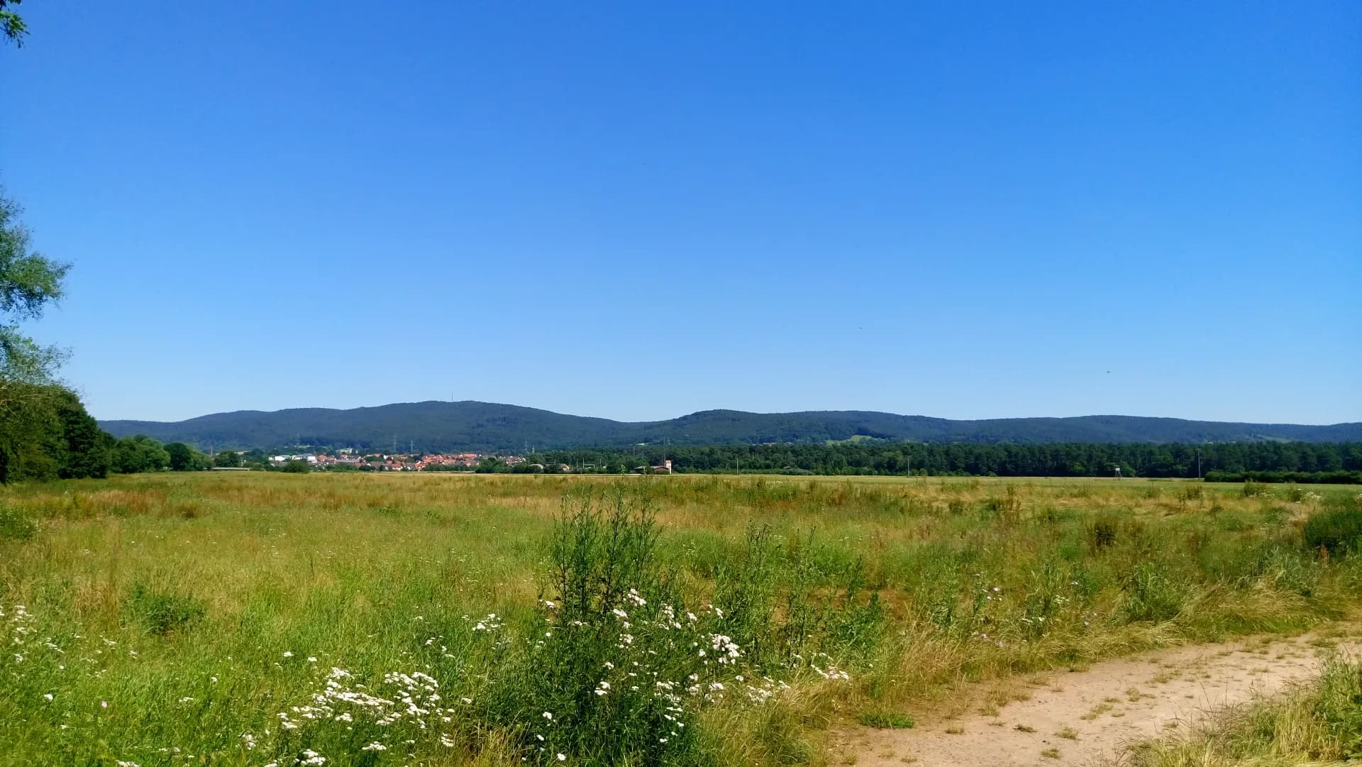 Blick über die Wiesen zum Hahnenkamm bei Alzenau