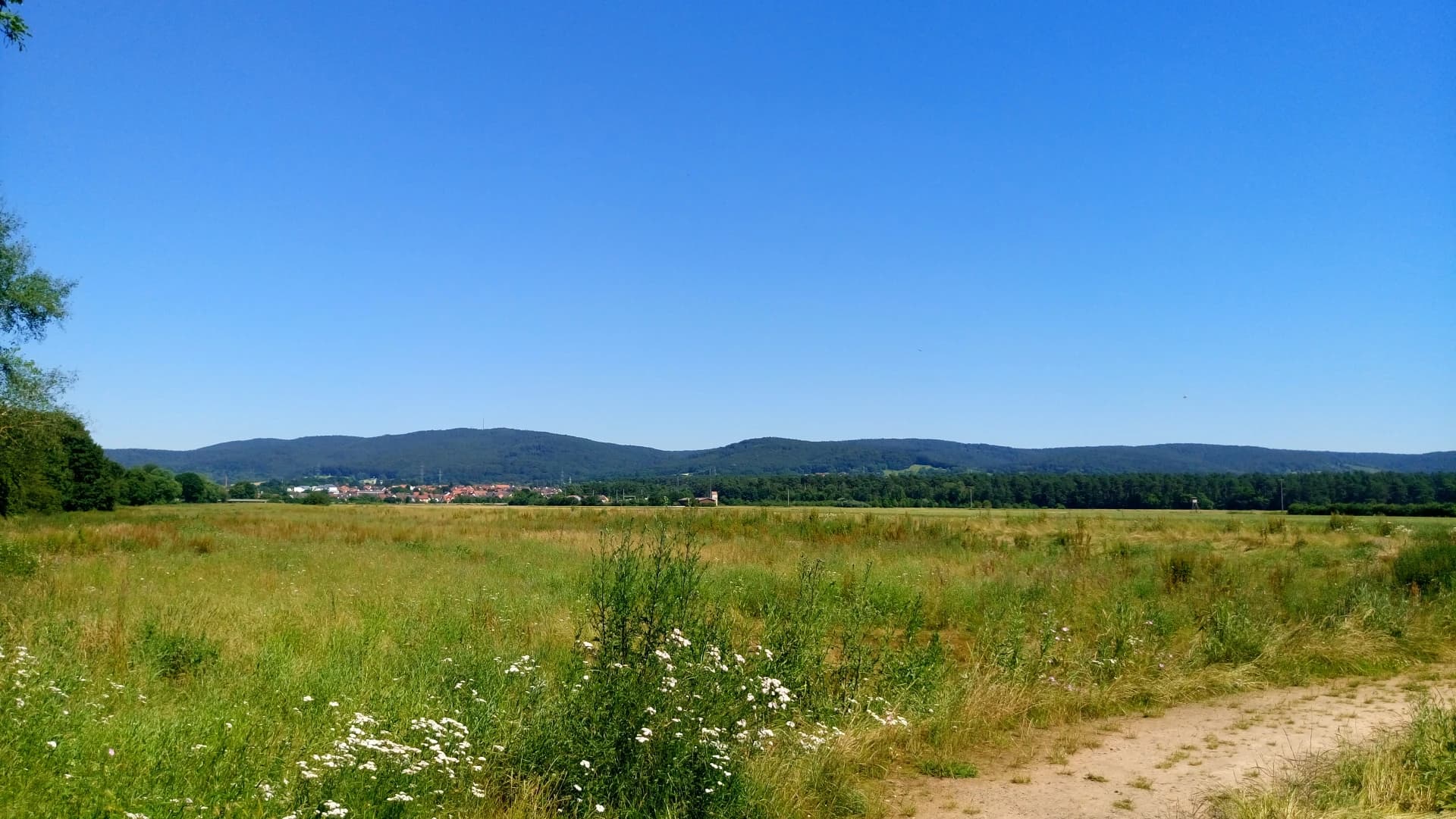 Blick über die Wiesen zum Hahnenkamm bei Alzenau