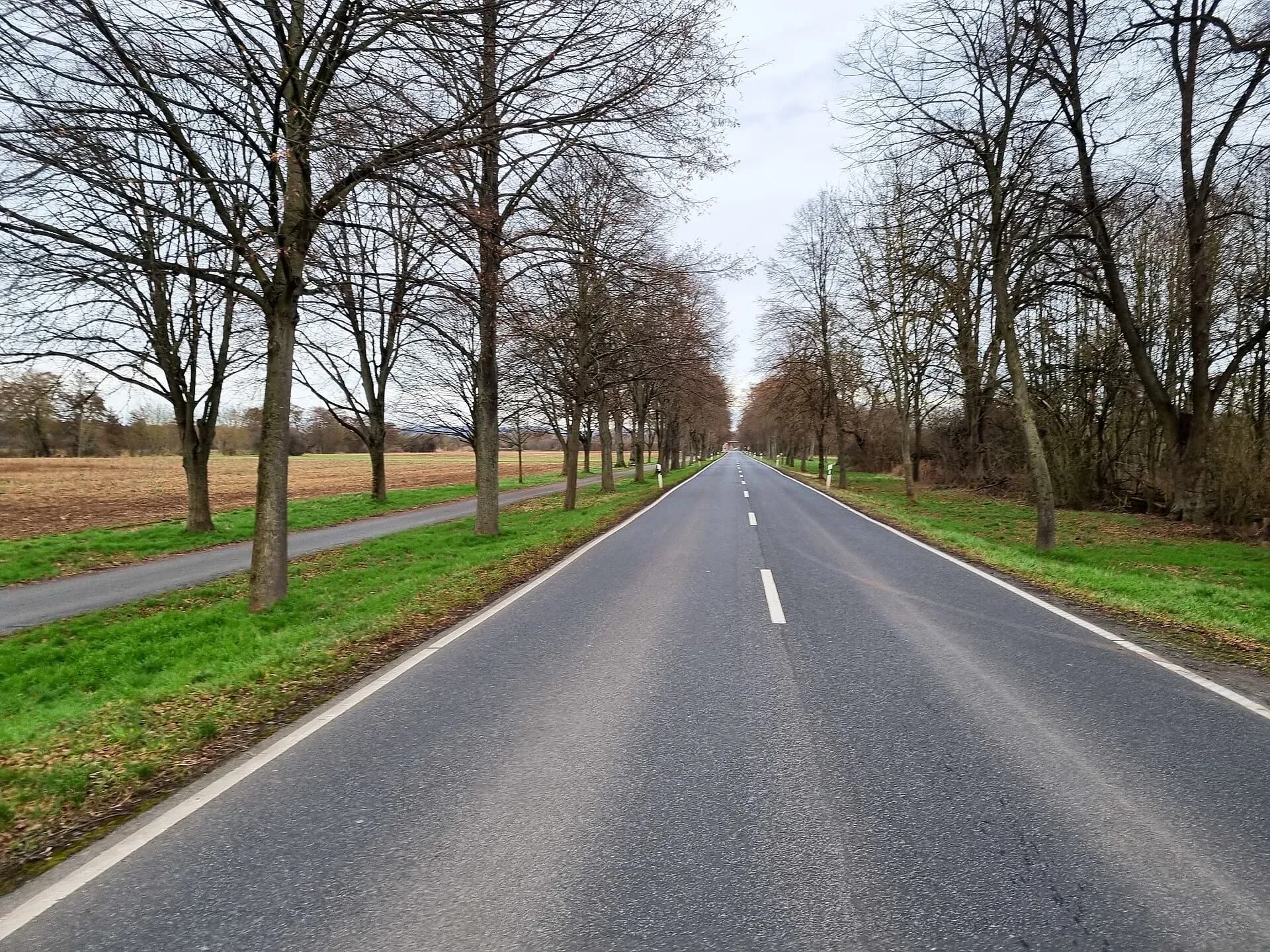 Harreshäuser Allee in Babenhausen