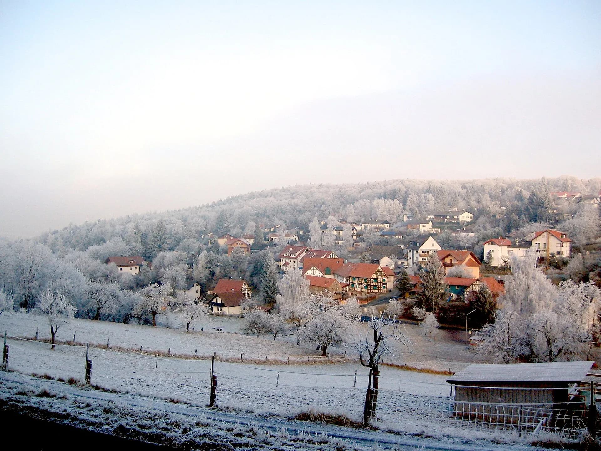 Hassenroth bei Raureif in Höchst im Odenwald