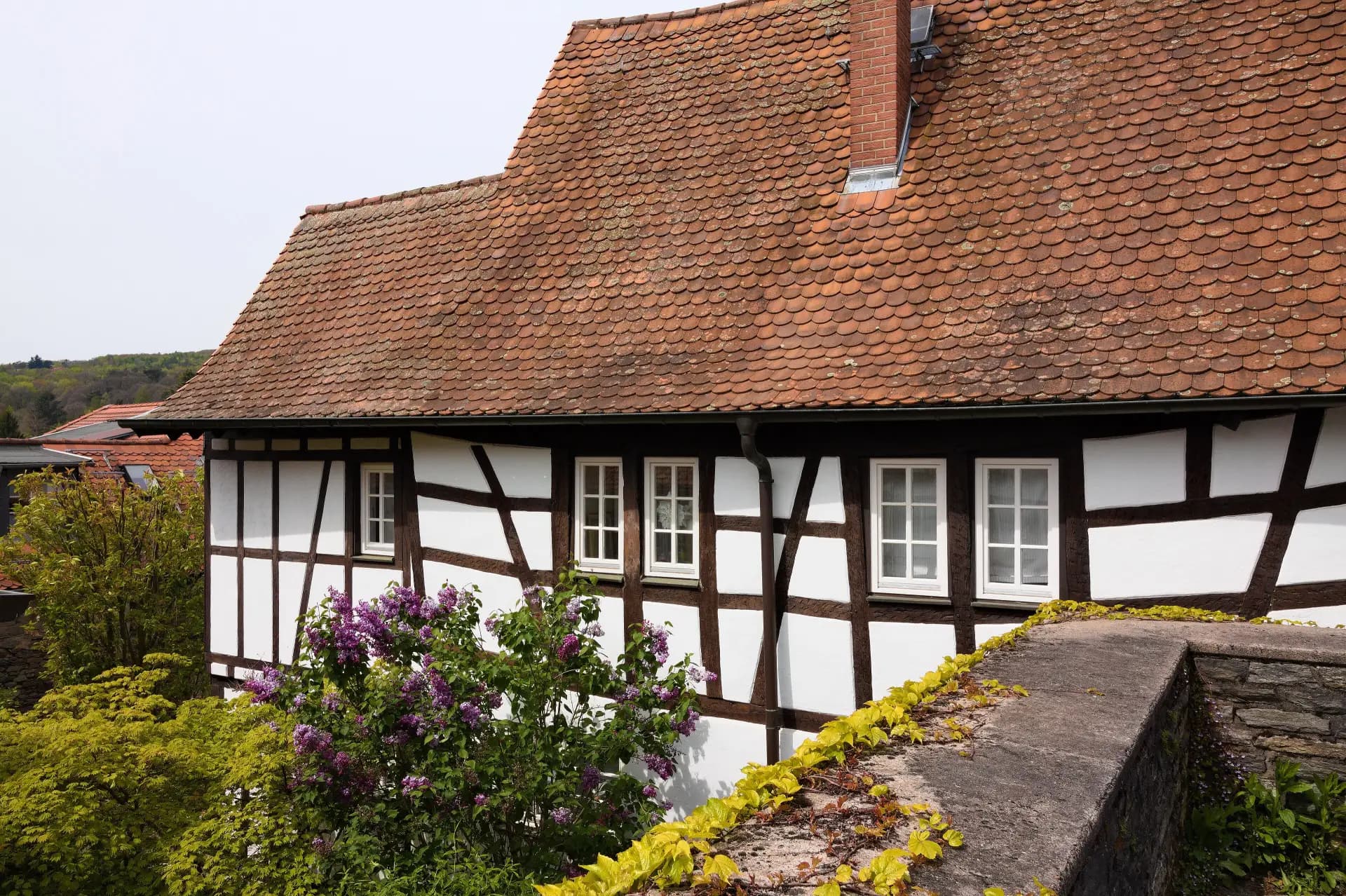 Haus Eichenstraße 19-21 mit blühendem Flieder in Kronberg im Taunus