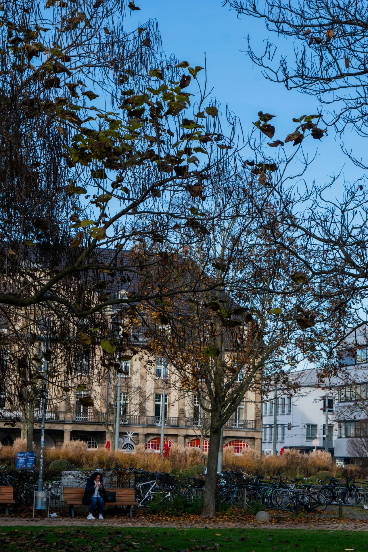 Herrngarten mit Fahrradstellplatz in Darmstadt
