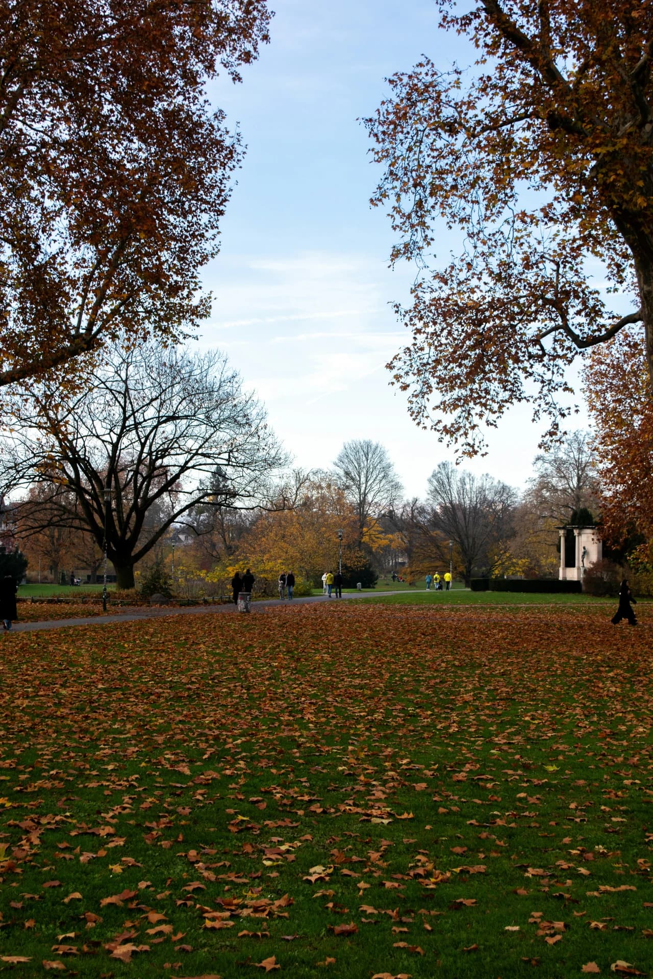 Herbstwiese im Herrngarten in Darmstadt