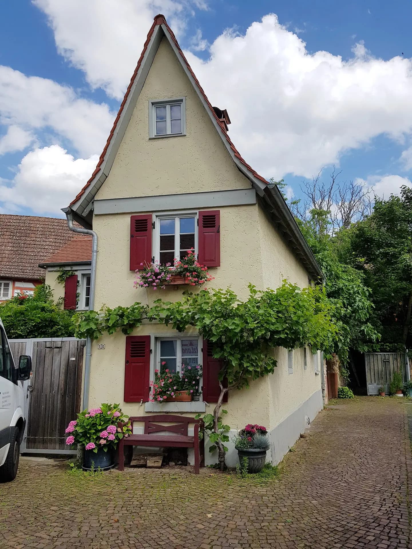 Begrüntes Wohnhaus in der Hintergasse 50 in Hochheim am Main