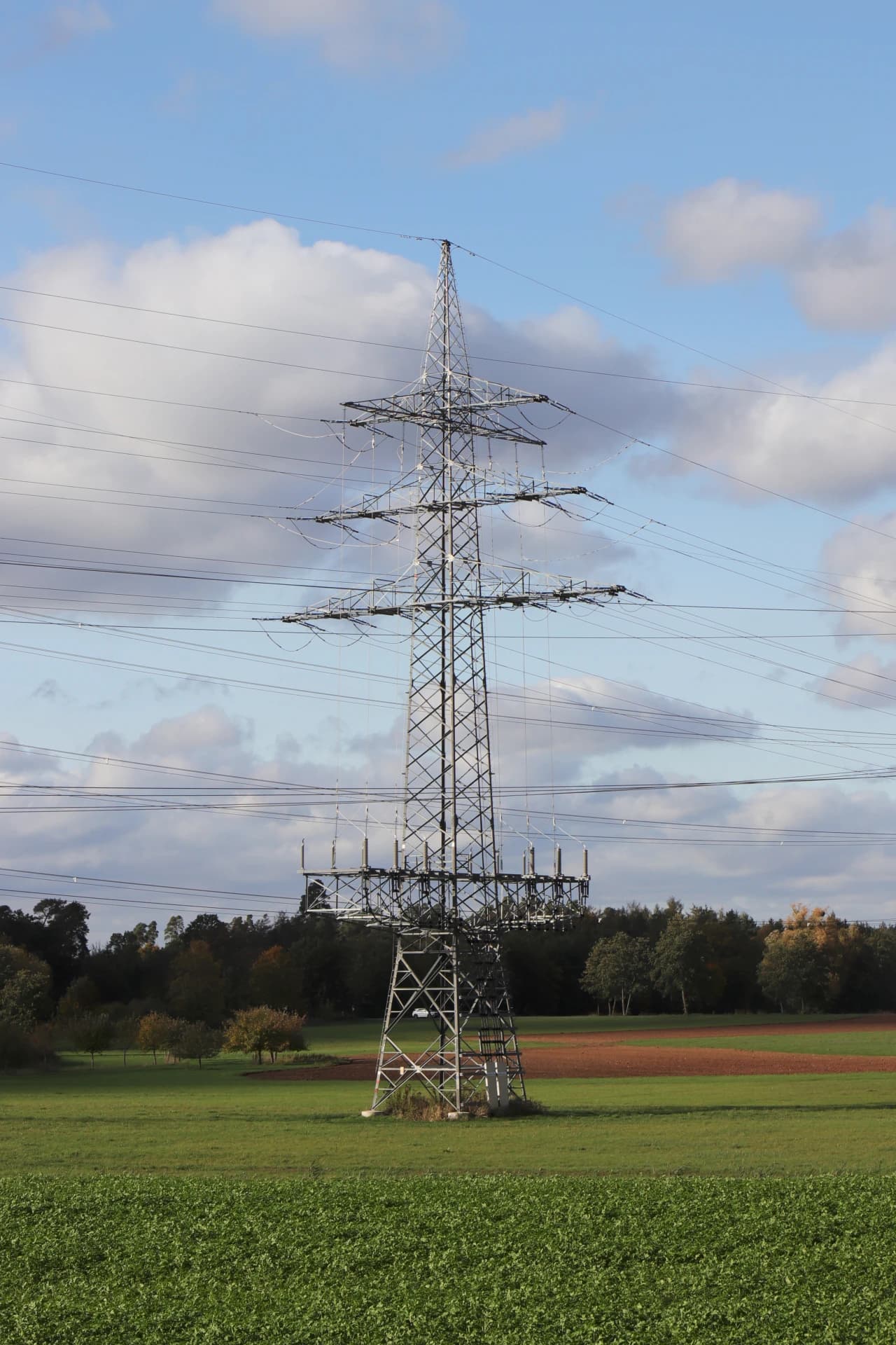 Hochspannungsmast in der Feldflur von Kleinostheim
