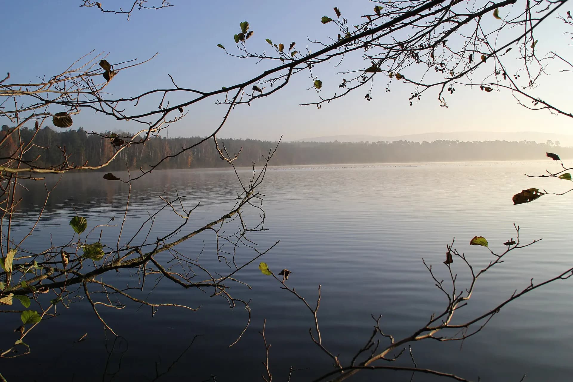 Hörsteiner See bei Alzenau