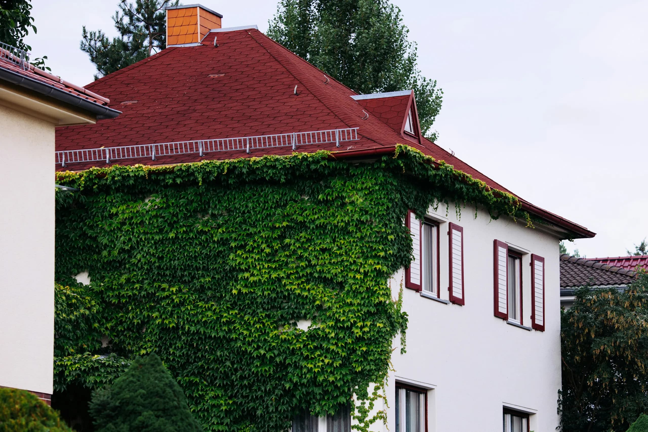 Villa mit rotem Walmdach und efeubewachsener Fassade
