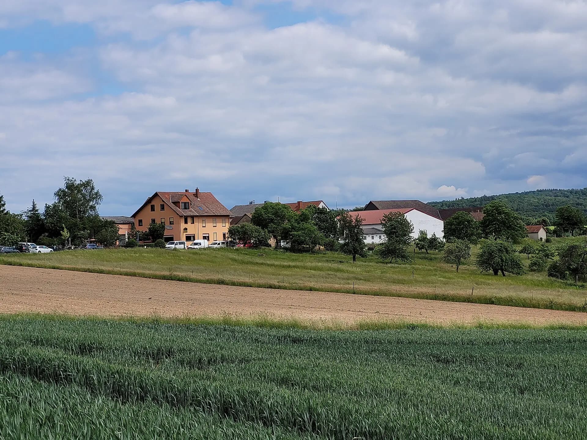 Hundertmorgen in der Feldflur bei Reinheim