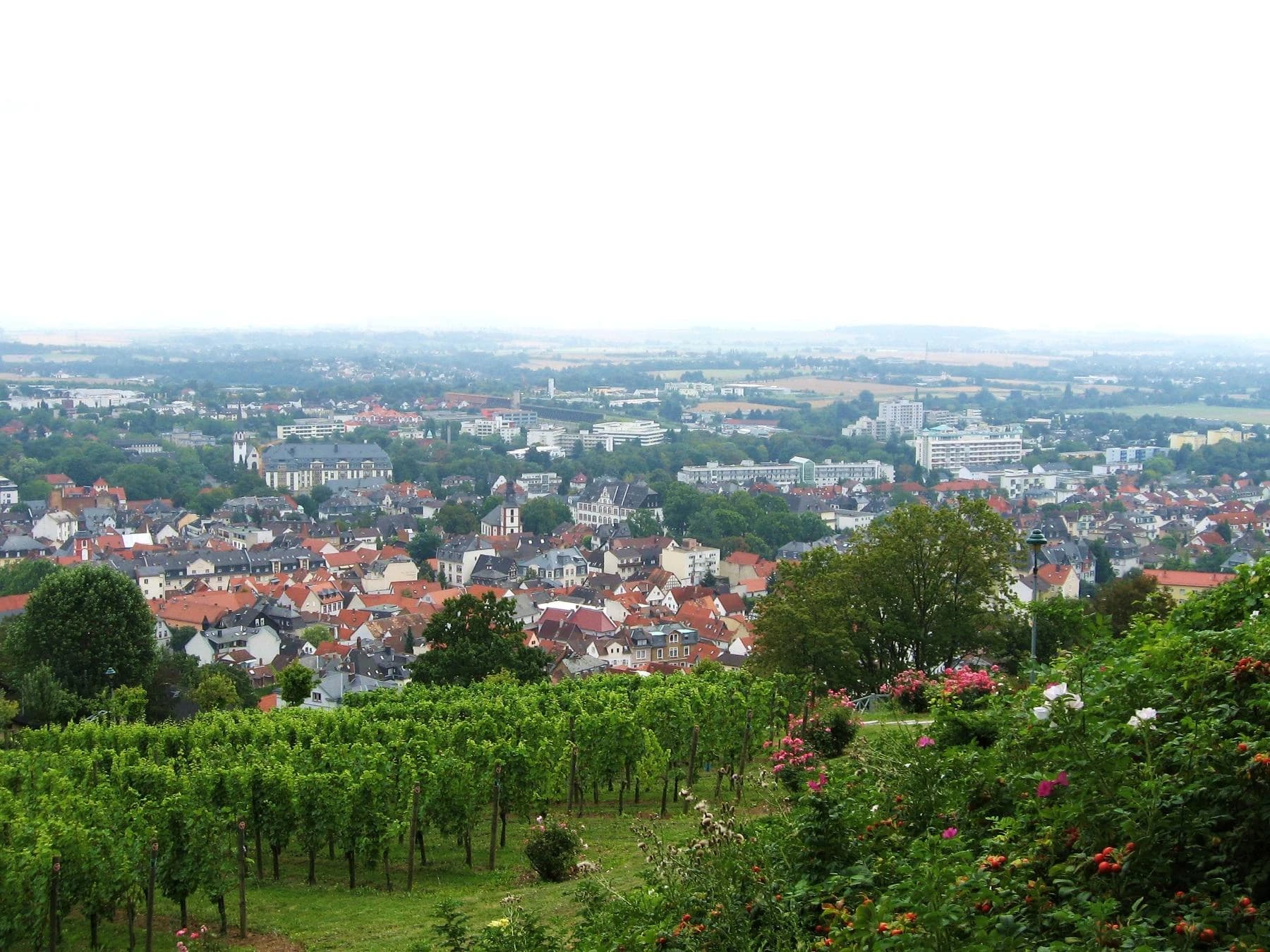 Blick vom Johannisberg mit Weinberg über Bad Nauheim