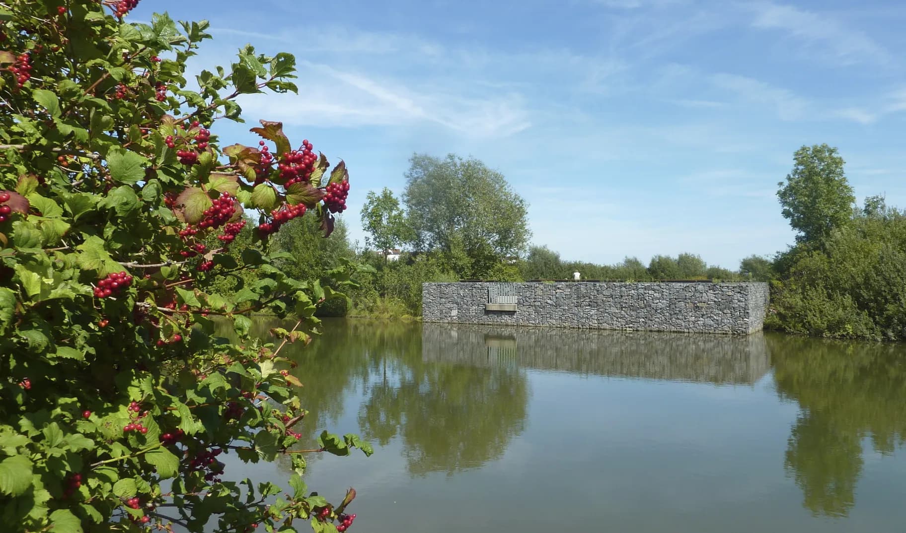 Ufer des Rückhaltebeckens im Kätcheslachpark in Frankfurt Kalbach-Riedberg