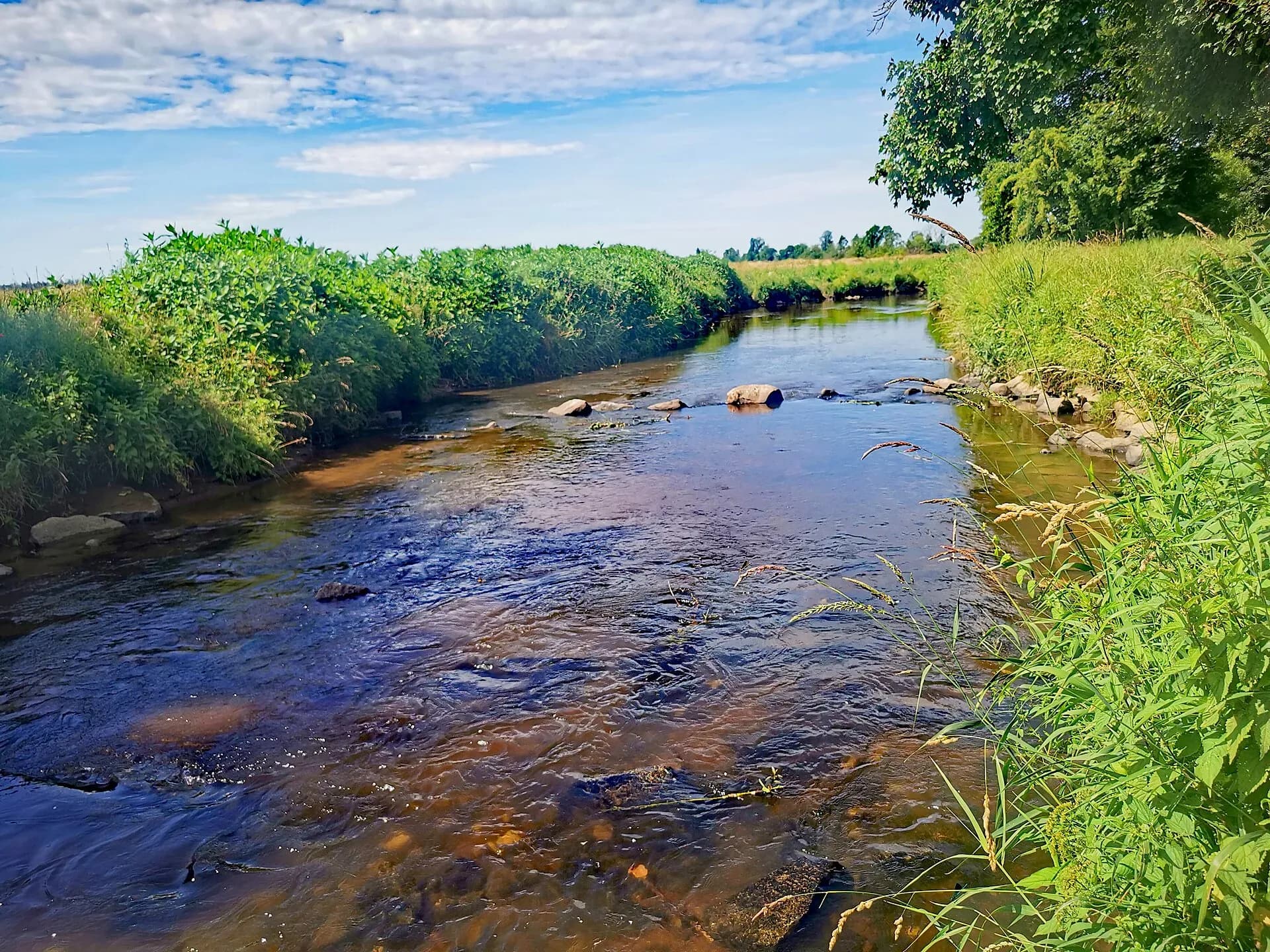 Ufer der Kahl bei Alzenau