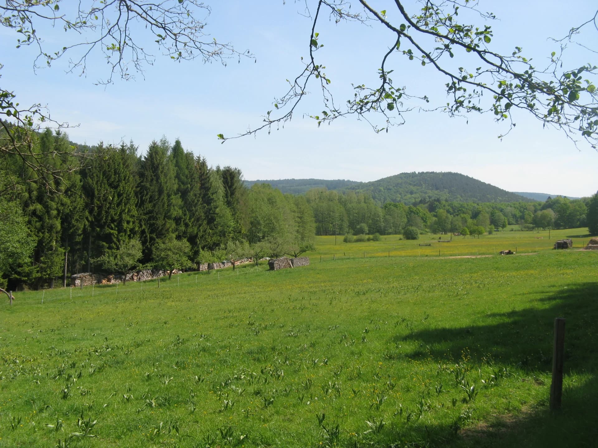 Wiesental im Kasselgrund unterhalb der Alteburg in Biebergemünd