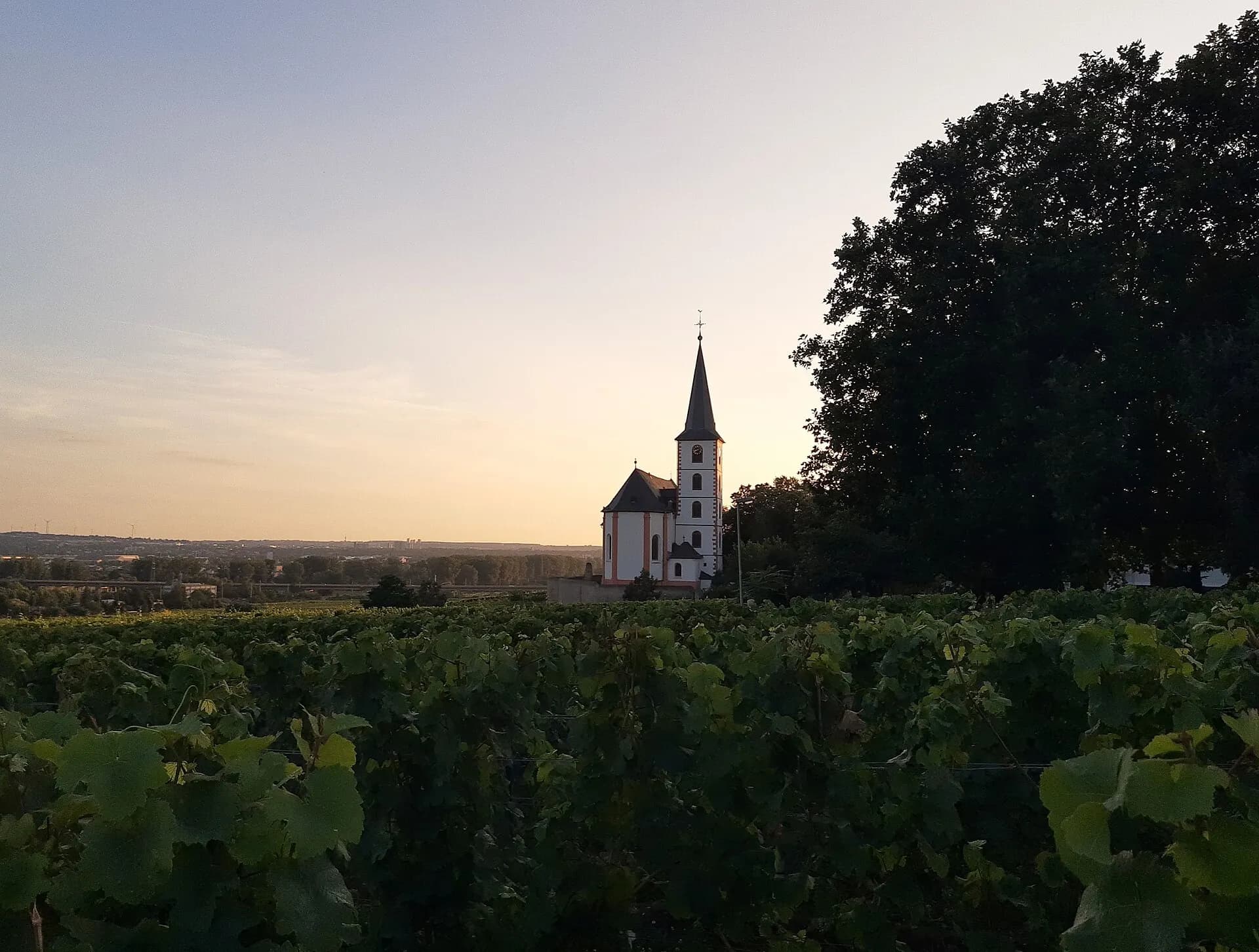Pfarrkirche Sankt Peter und Paul im Abendlicht in Hochheim am Main