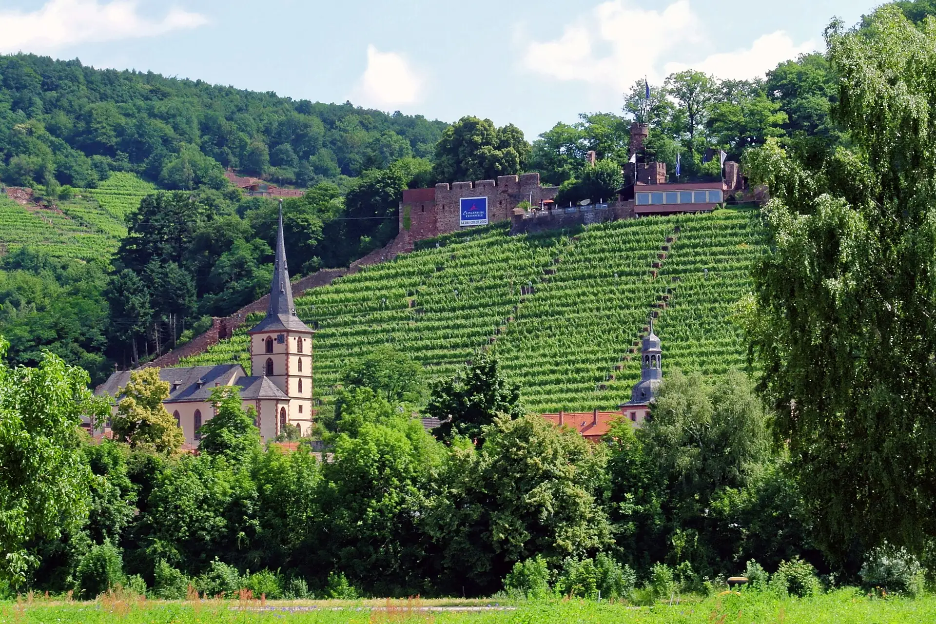 Pfarrkirche und Weinberge vom gegenüberliegenden Mainufer in Klingenberg am Main