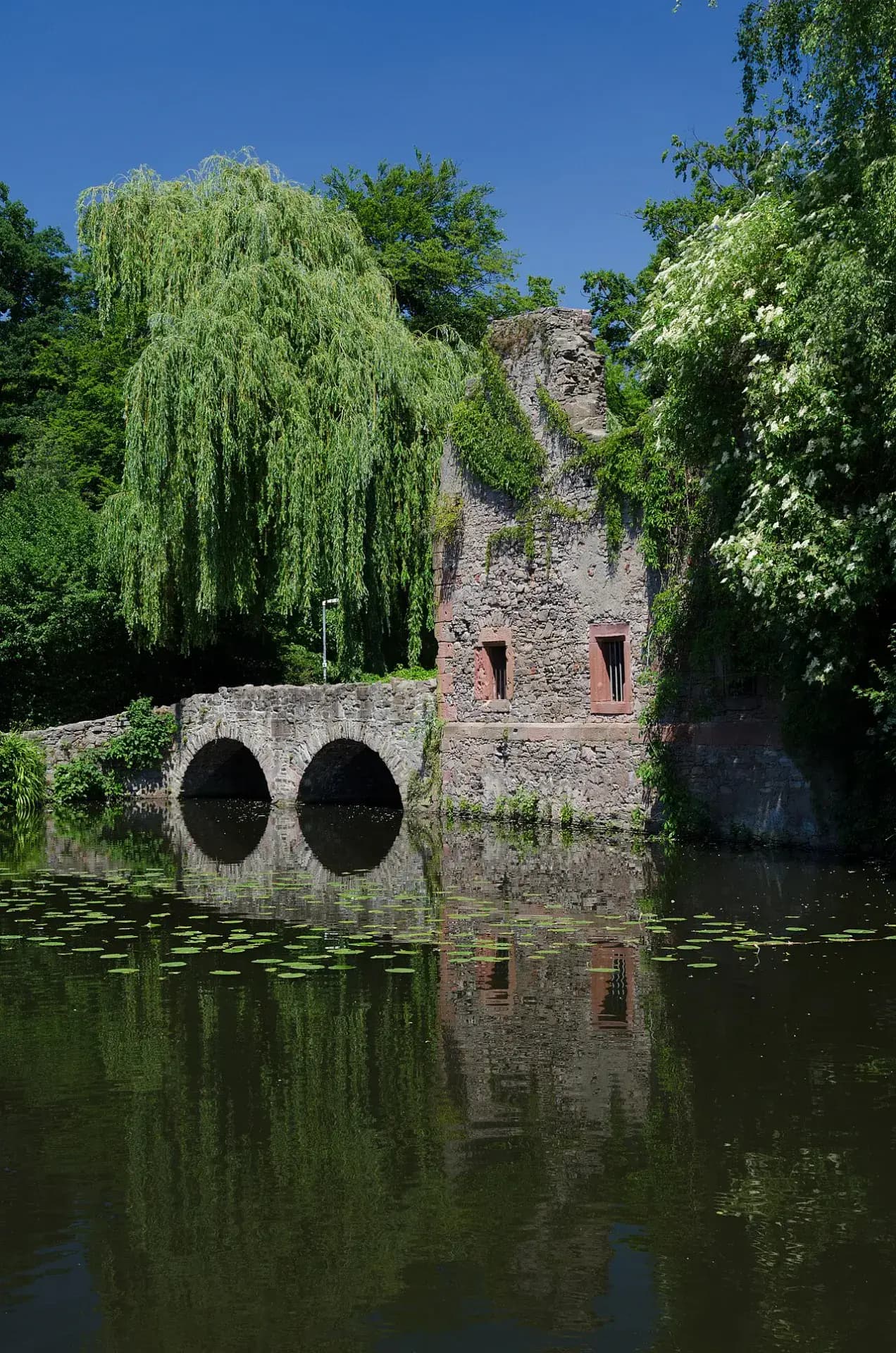Kirchenruine zum Heiligen Grabe am Weiher im Park Schöntal in Aschaffenburg