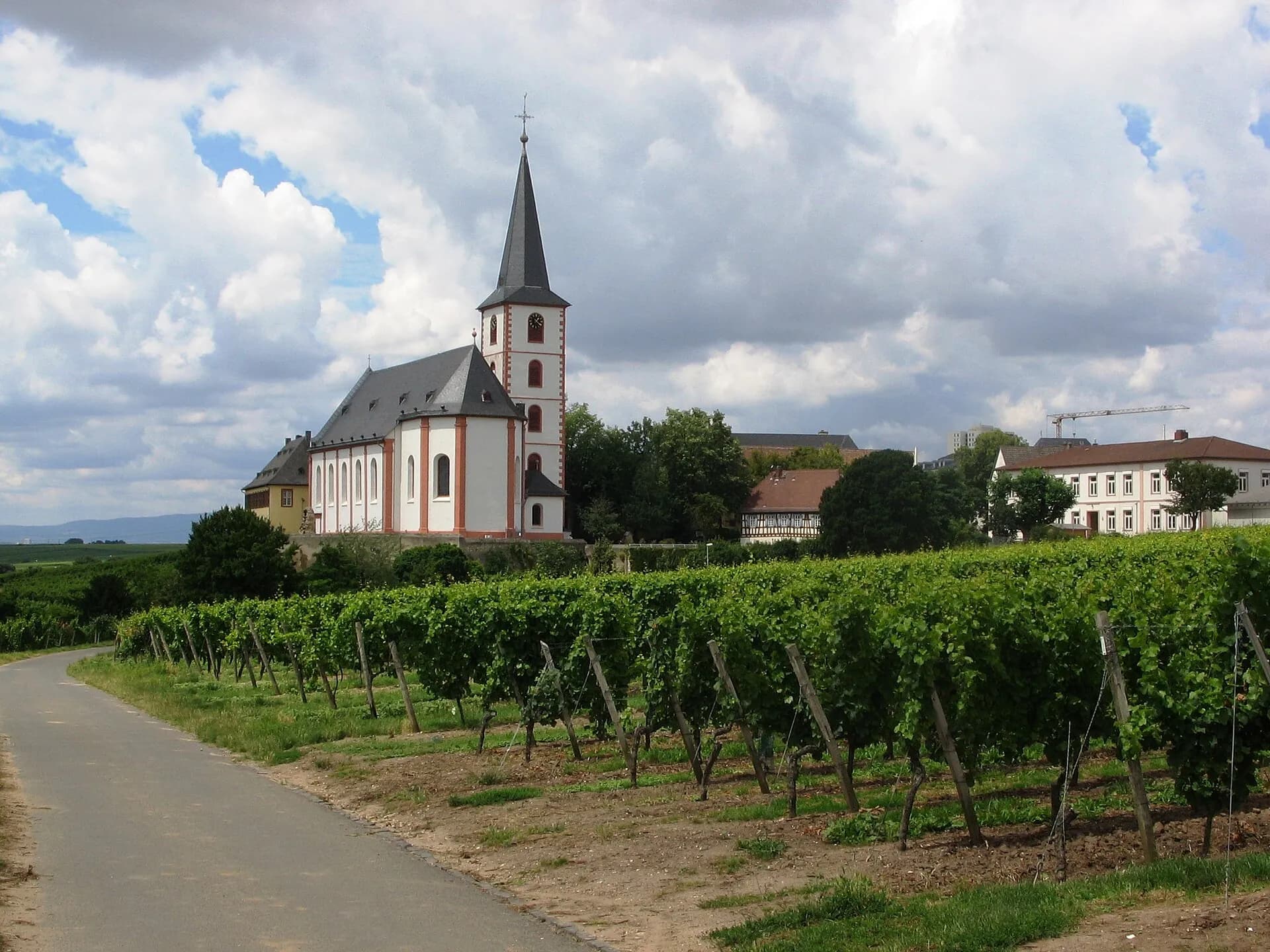 Weinberglage Kirchenstück mit Pfarrkirche in Hochheim am Main