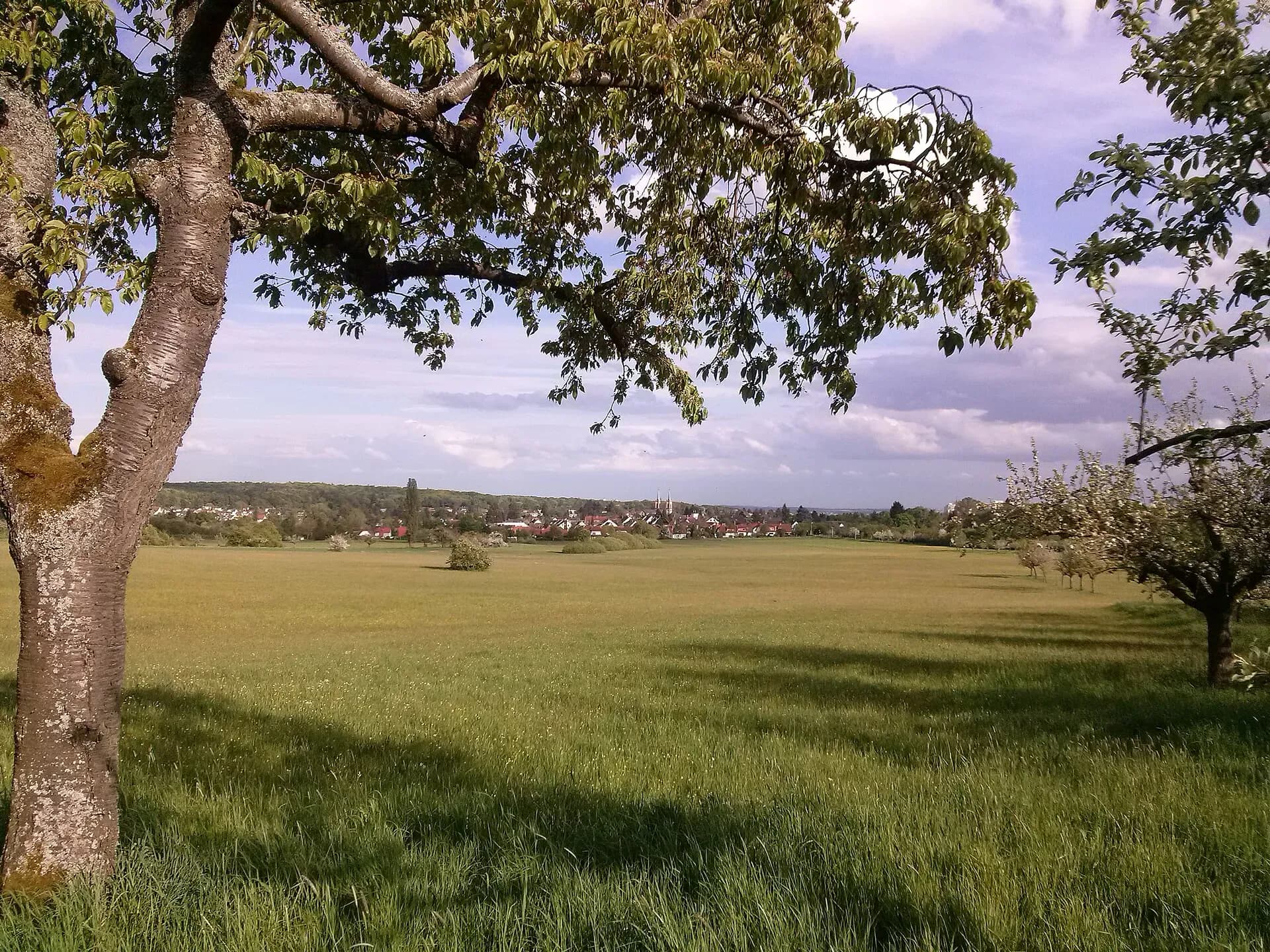 Ausblick über das Kirdorfer Feld in Bad Homburg-Kirdorf