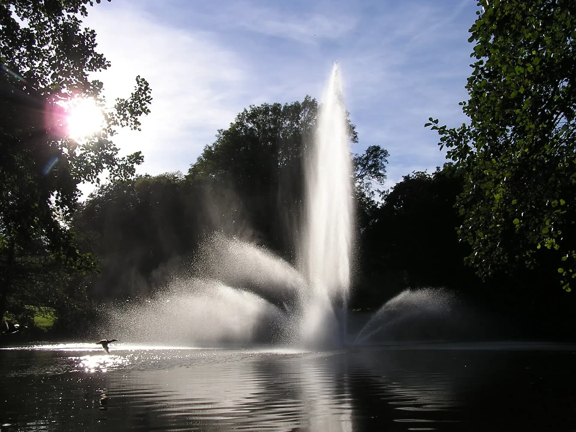 Fontäne im Kurpark im Gegenlicht in Bad Homburg