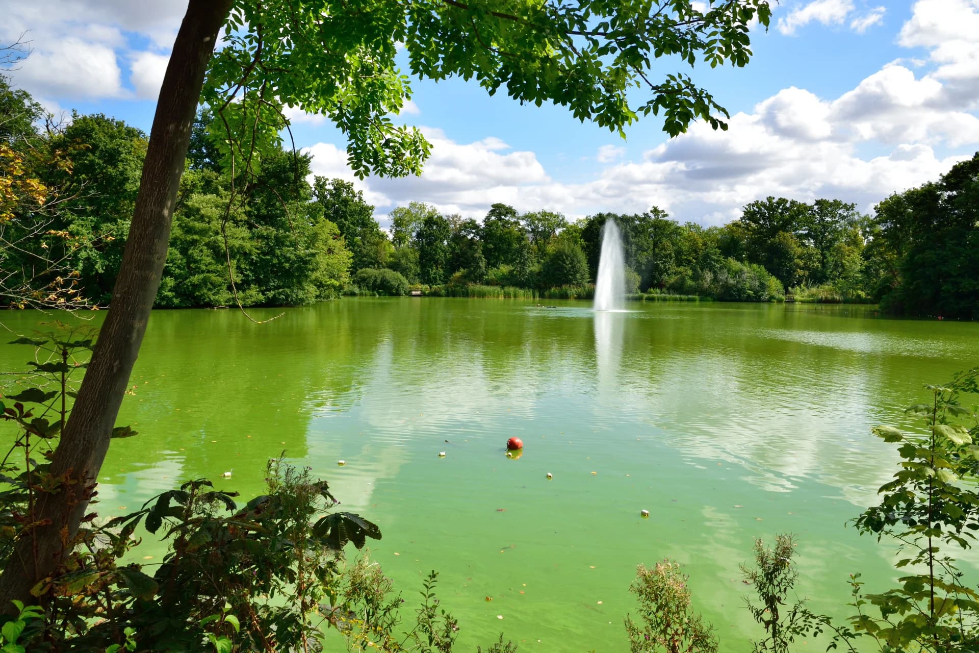 Fontäne auf dem Teich im Kurpark in Bad Nauheim
