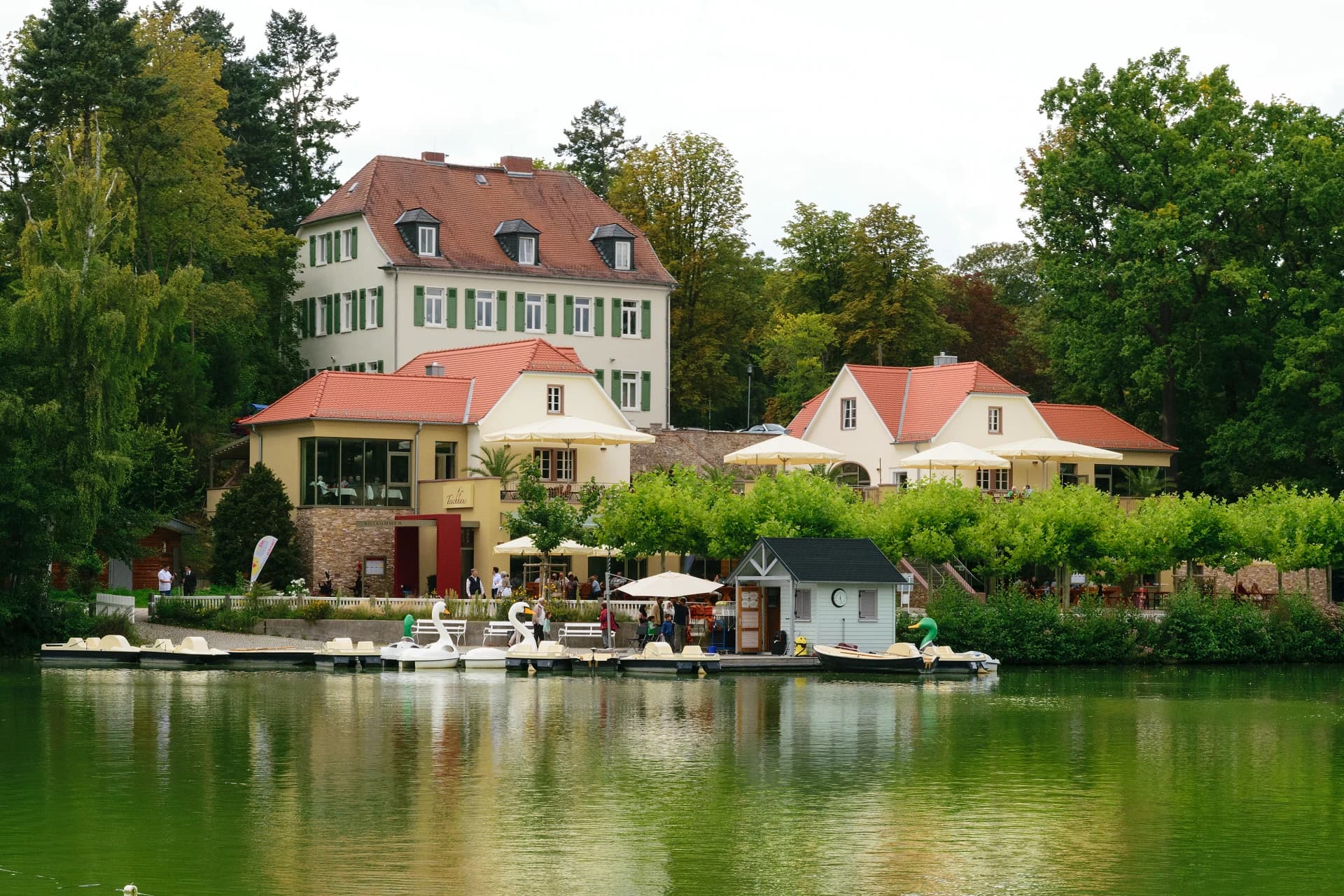 Bootssteg am Teichhaus im Kurpark in Bad Nauheim