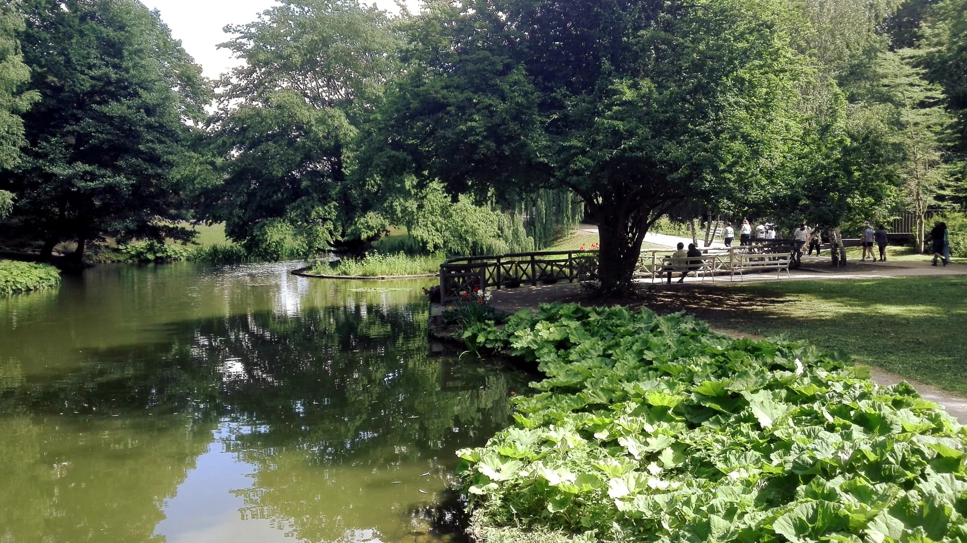 Teich im Kurpark in Bad Nauheim