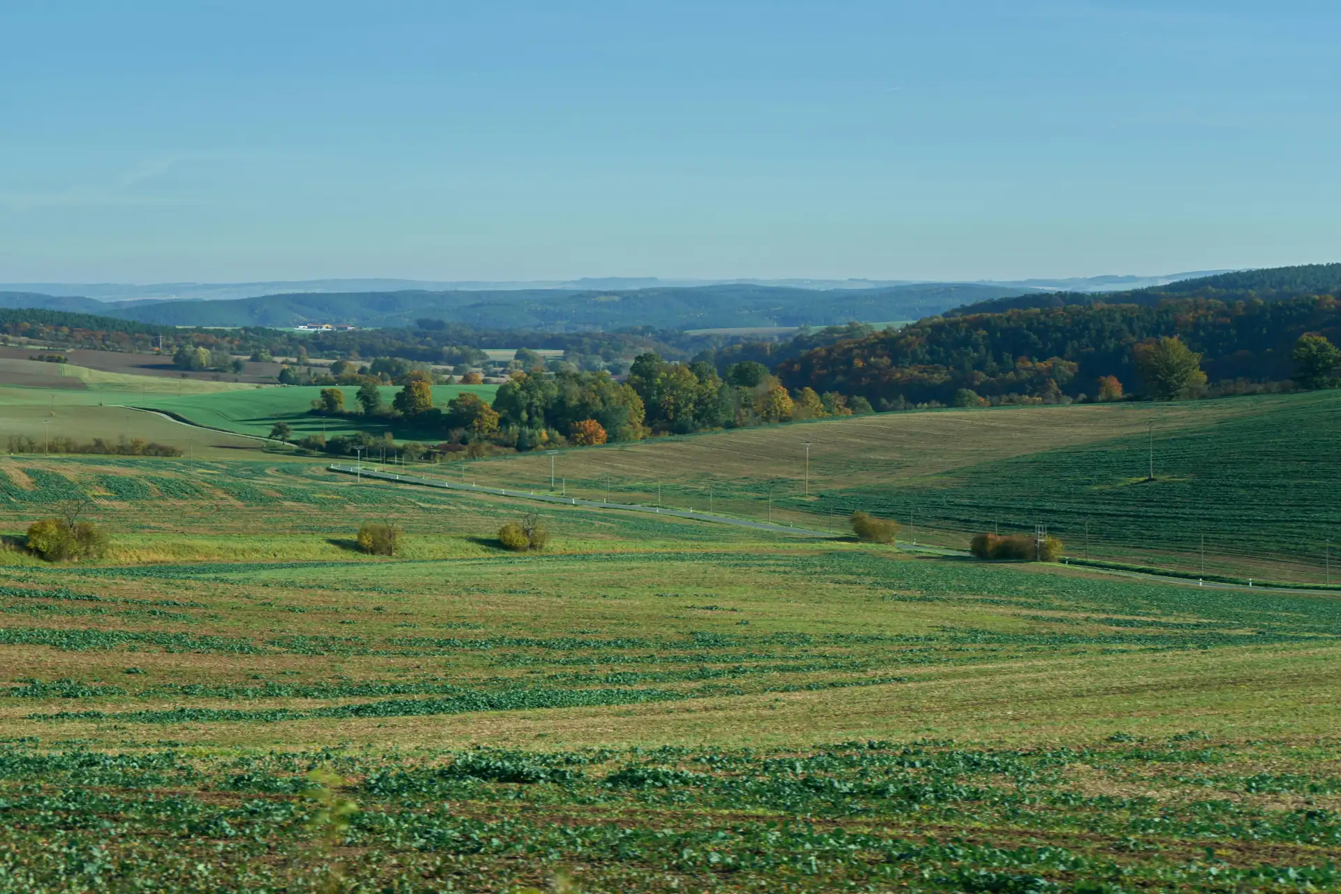 Hügelige Feldlandschaft mit Landstraße und herbstlichem Wald