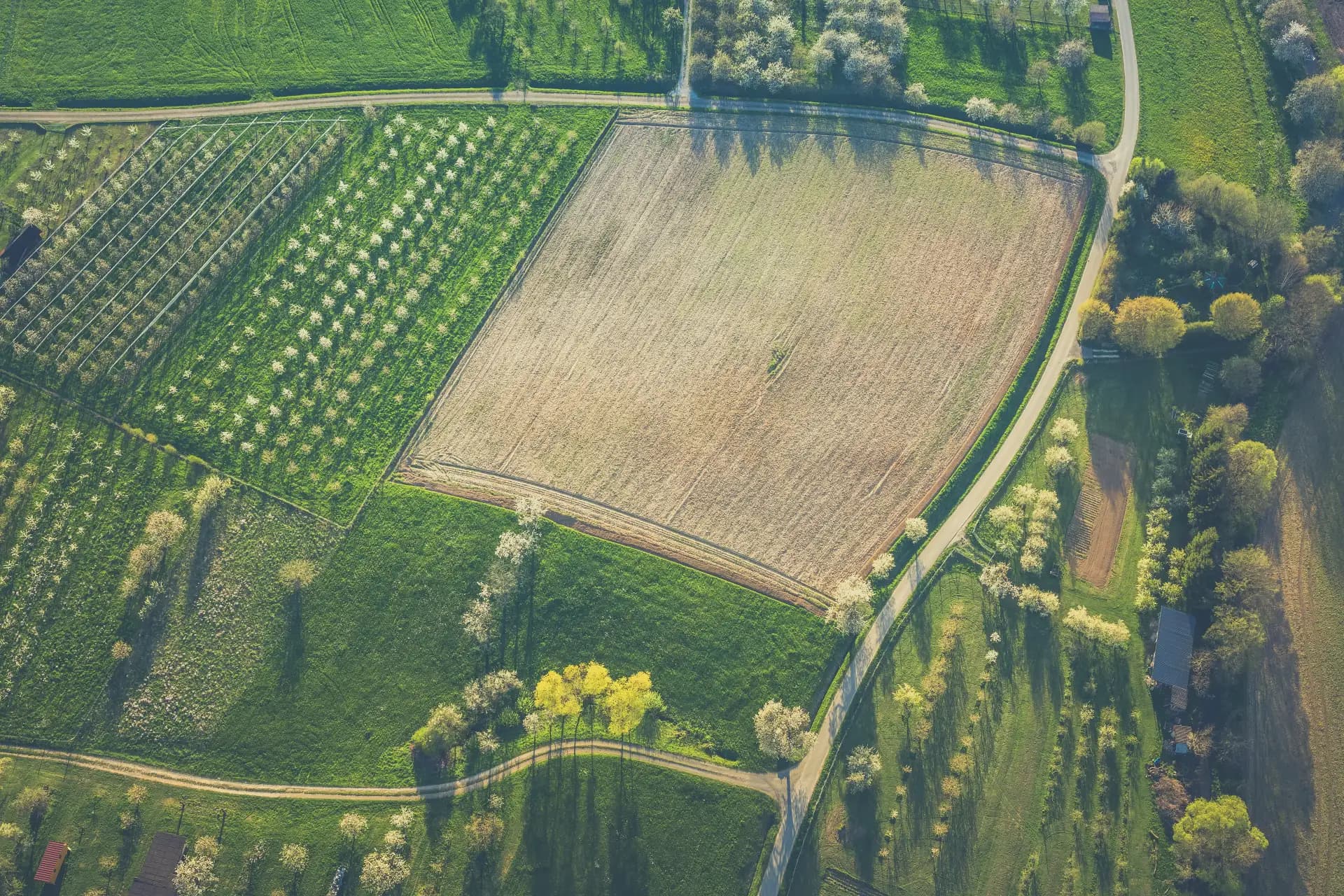 Luftbild mit Obstbaumreihen, Acker und Wirtschaftswegen