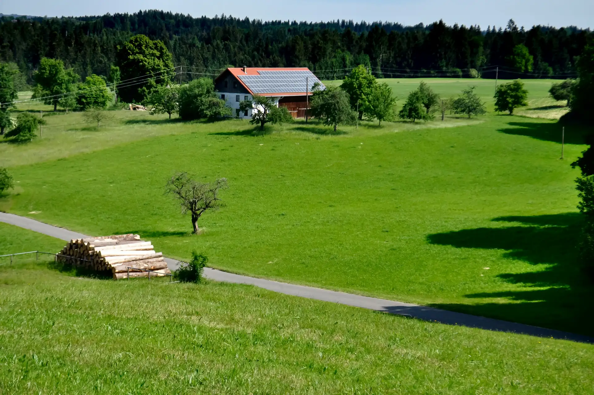 Wiesenhang mit Bauernhaus, Holzstapel und Feldweg