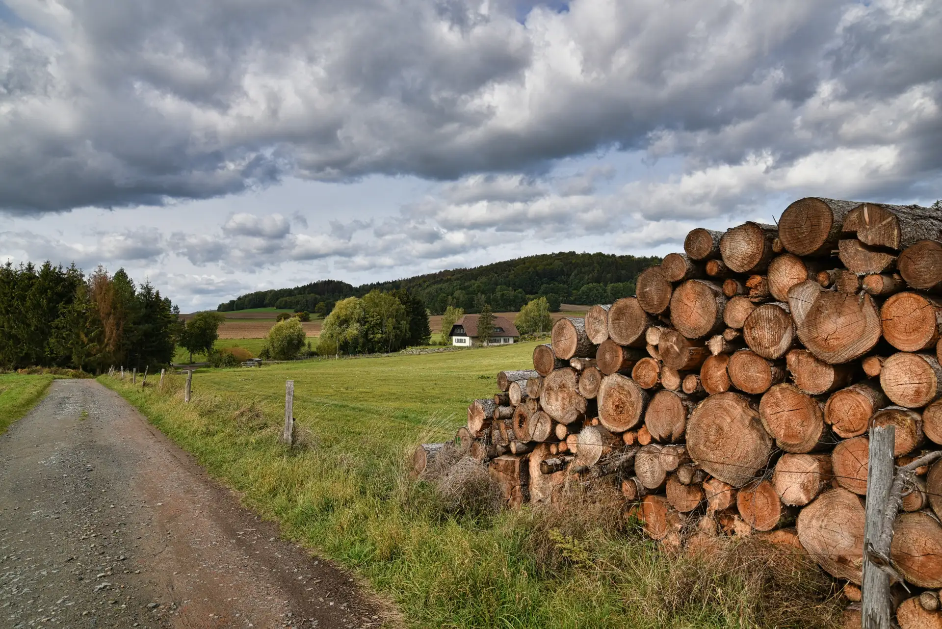 Feldweg mit Holzpolter, Weiden und Hof im Hintergrund