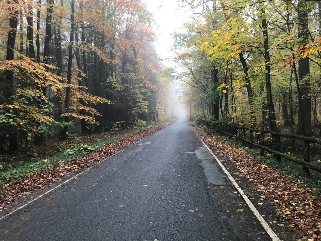 Bad Homburg Taunus-Blick